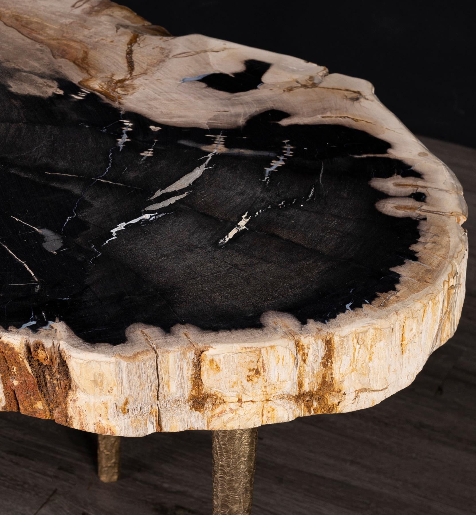 Polished Side or Coffee Table, Petrified Wood with Solid Bronze Base legs