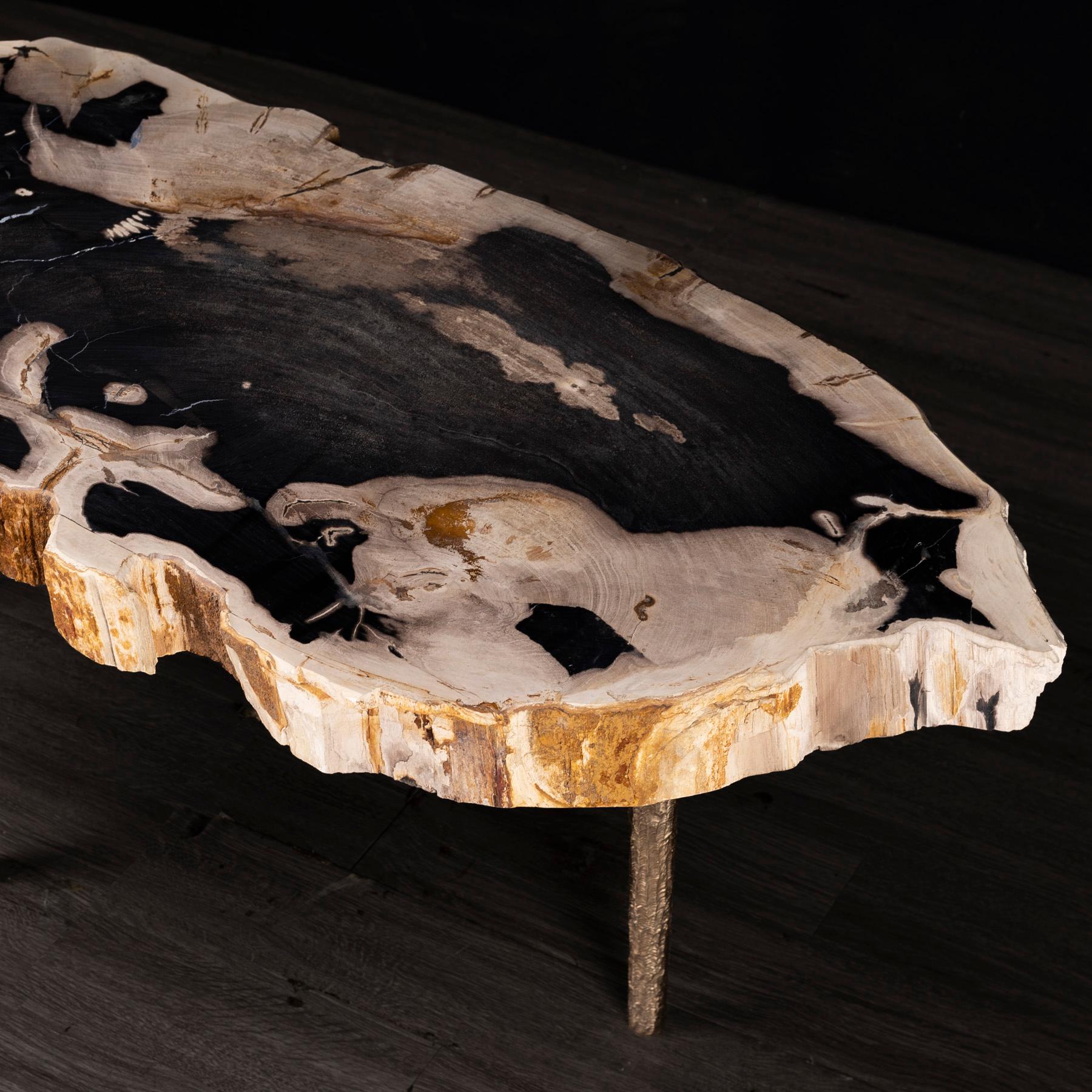 Side or Coffee Table, Petrified Wood with Solid Bronze Base legs In New Condition In Polanco, CDMX