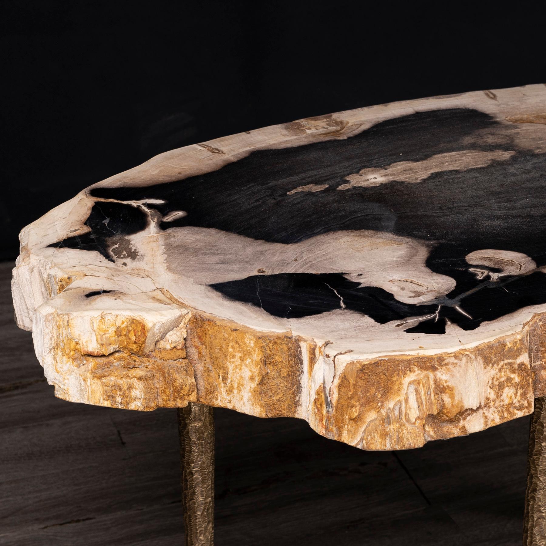 Side or Coffee Table, Petrified Wood with Solid Bronze Base legs In New Condition In Polanco, CDMX