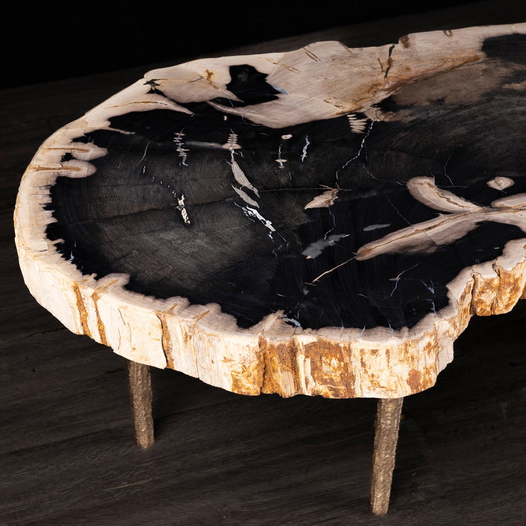 Contemporary Side or Coffee Table, Petrified Wood with Solid Bronze Base legs