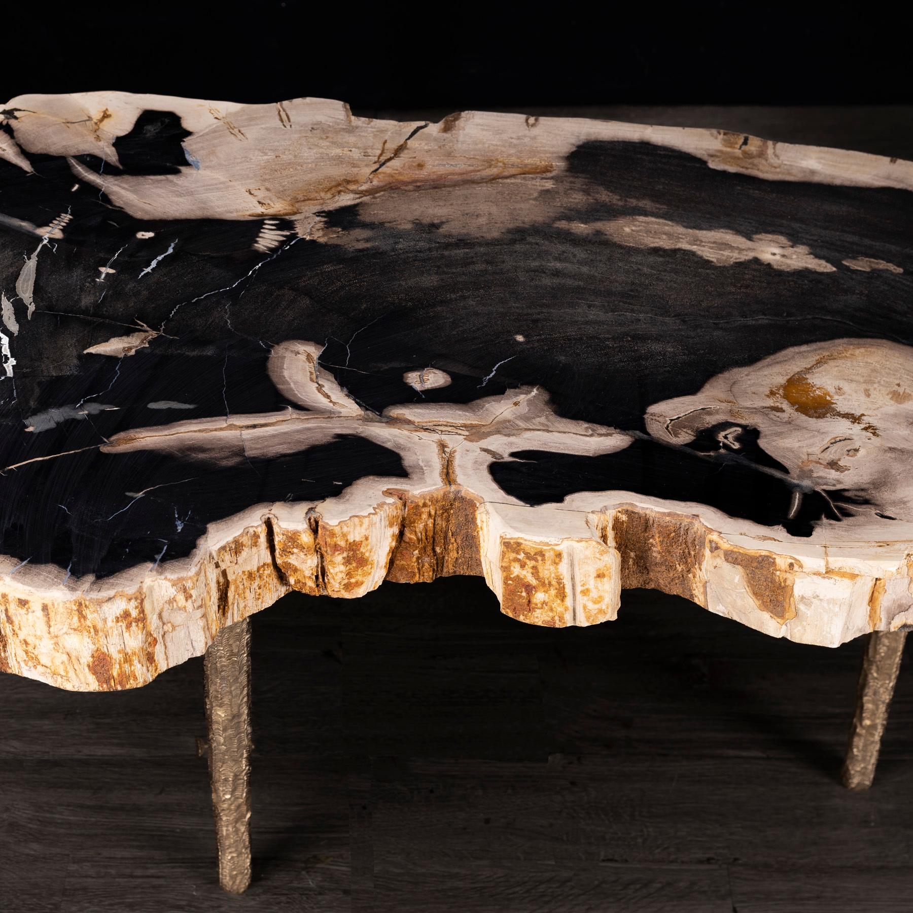 Side or Coffee Table, Petrified Wood with Solid Bronze Base legs 1