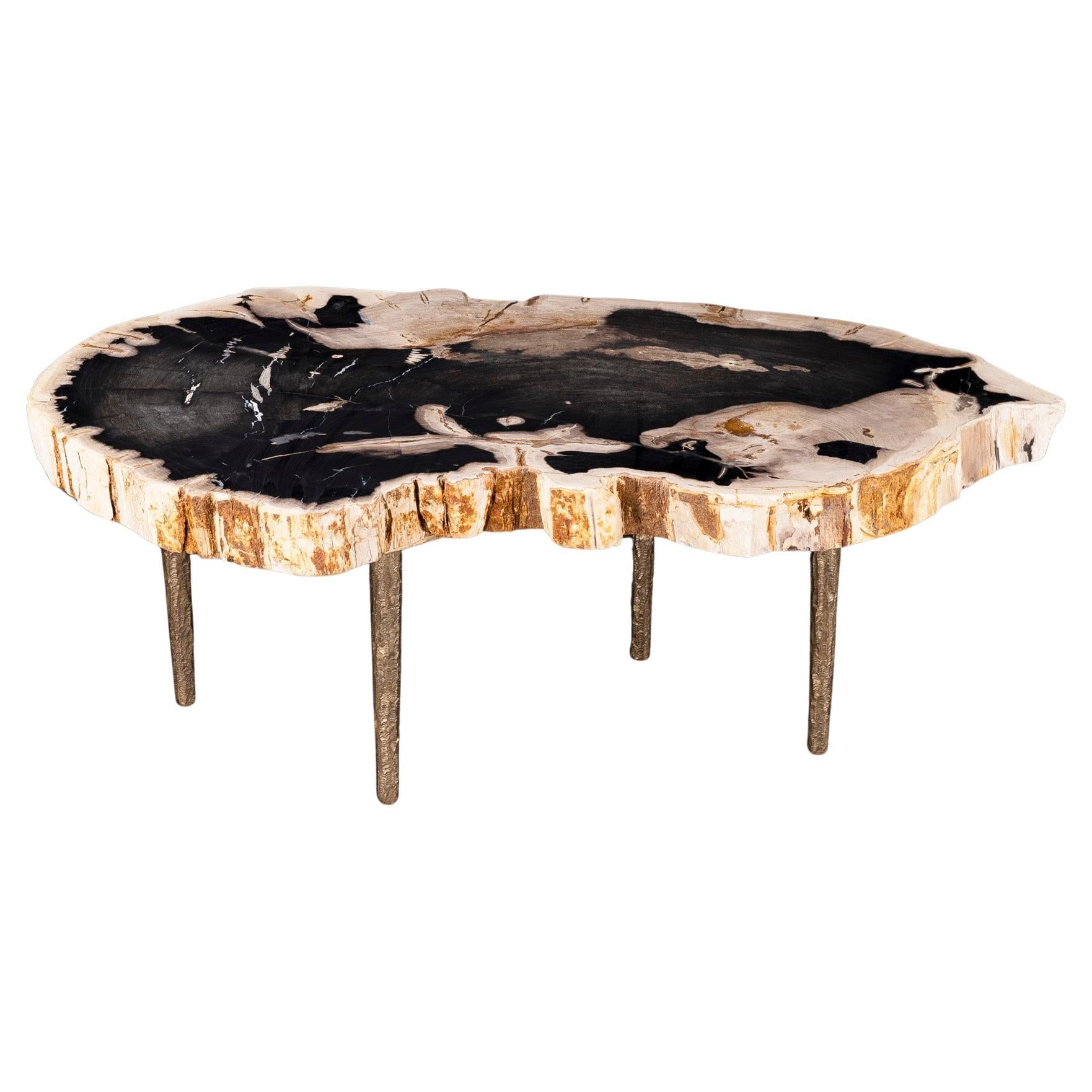 Side or Coffee Table, Petrified Wood with Solid Bronze Base legs