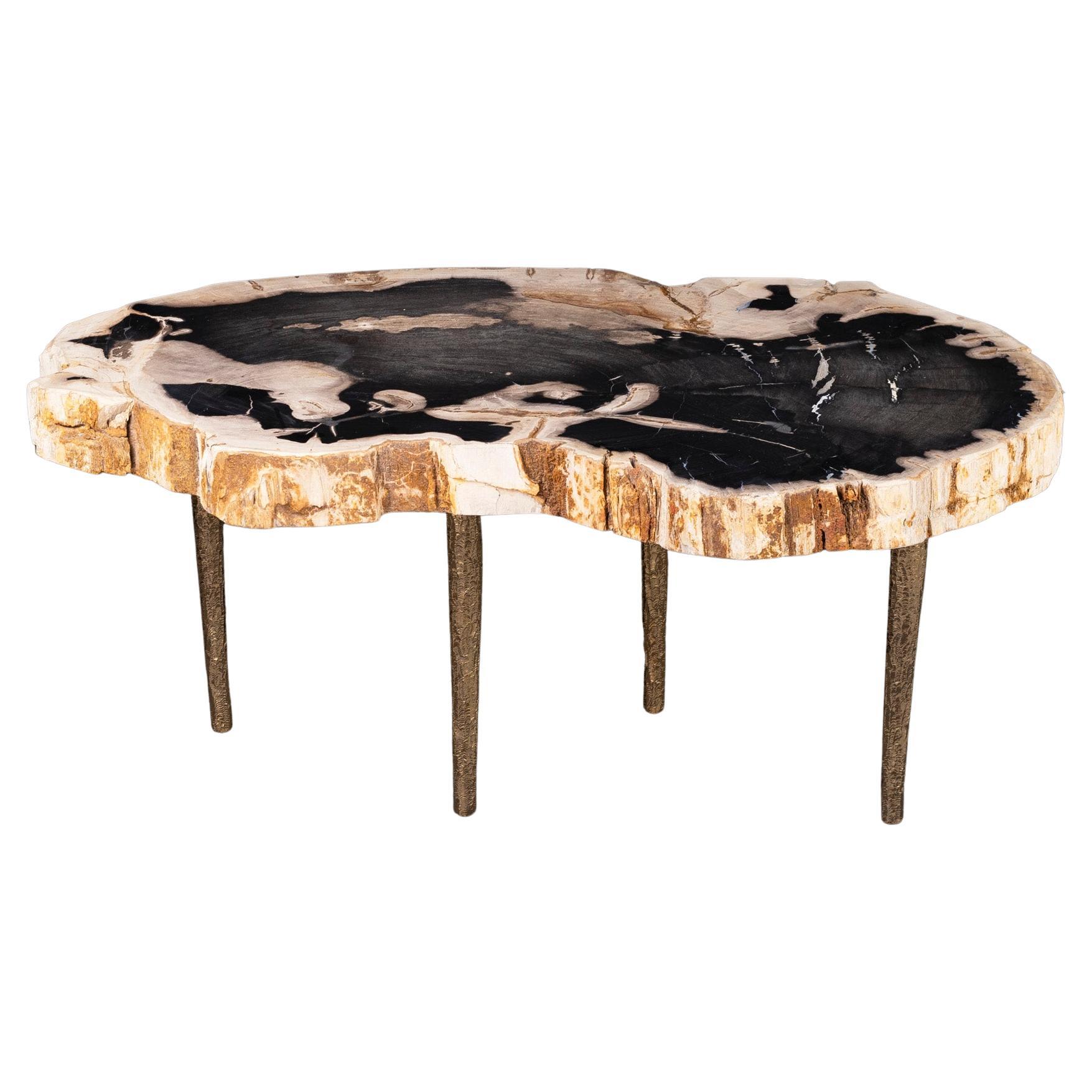 Side or Coffee Table, Petrified Wood with Solid Bronze Base legs