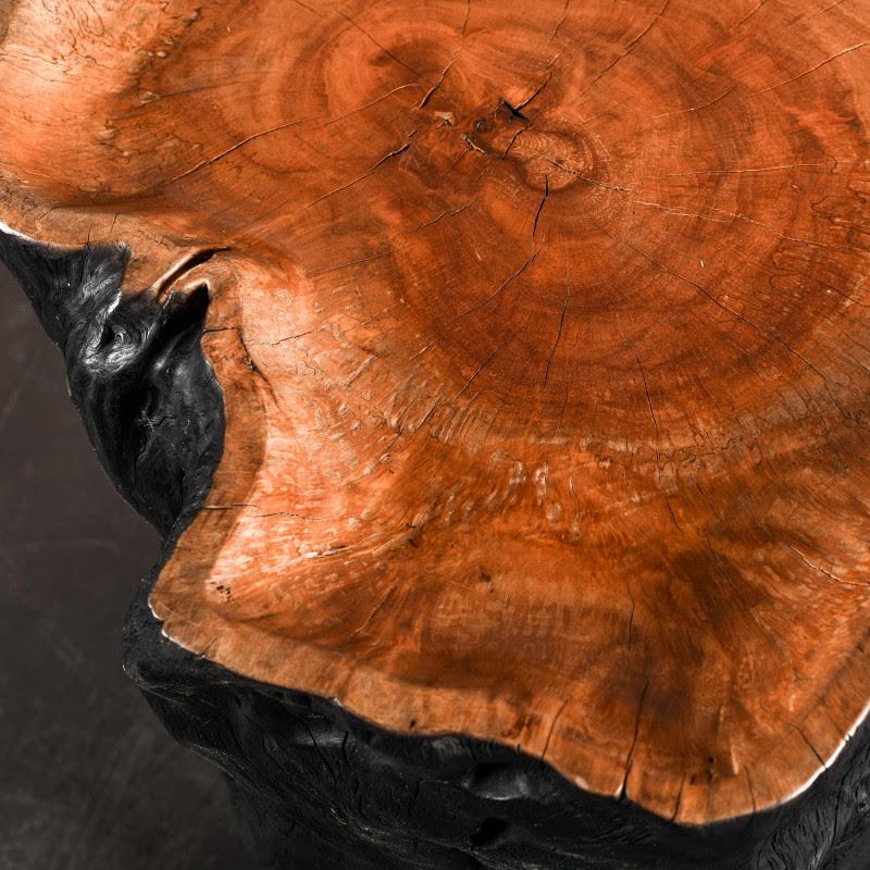 Noirci Table d'appoint avec roulettes, bois noirci sculpté dans un tronc d'arbre en vente