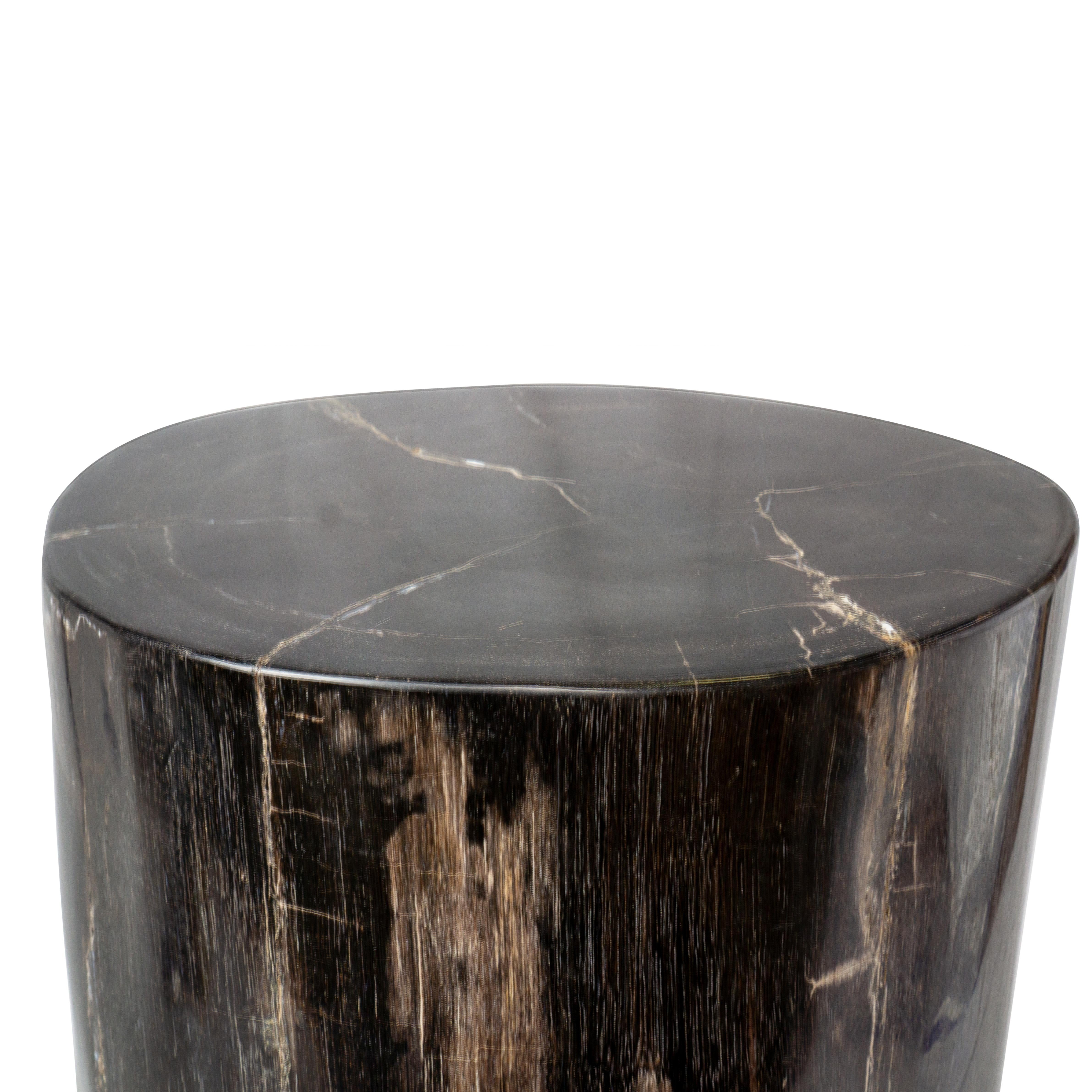 Side Table made of 20 Million Years Old Fossil Tree Petrified Wood Stone 3