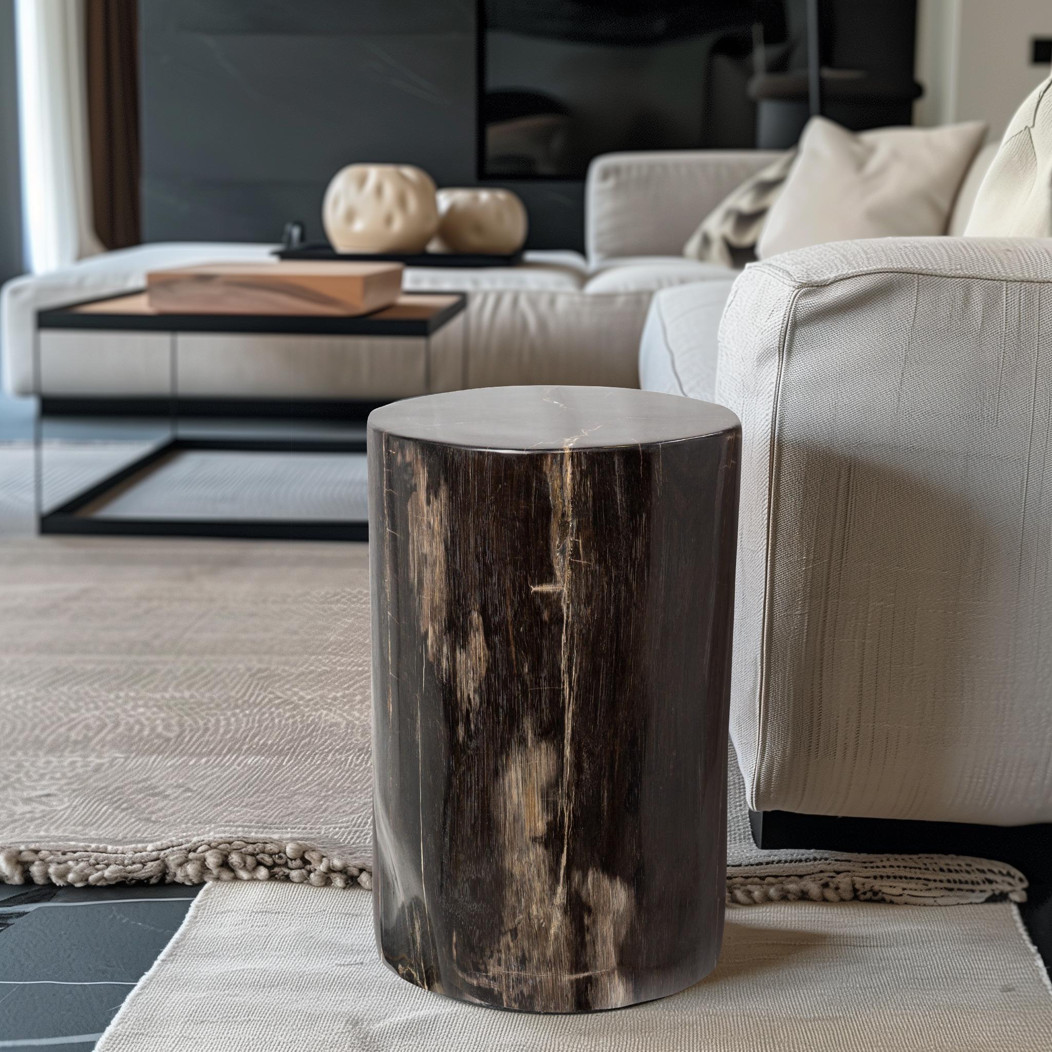 This petrified wood side table stands out with its polished, glossy black finish that reveals intricate organic grain patterns in shades of brown and black. The smooth surface highlights the natural textures and unique formations created through the