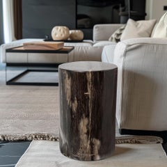 Side Table made of 20 Million Years Old Fossil Tree Petrified Wood Stone