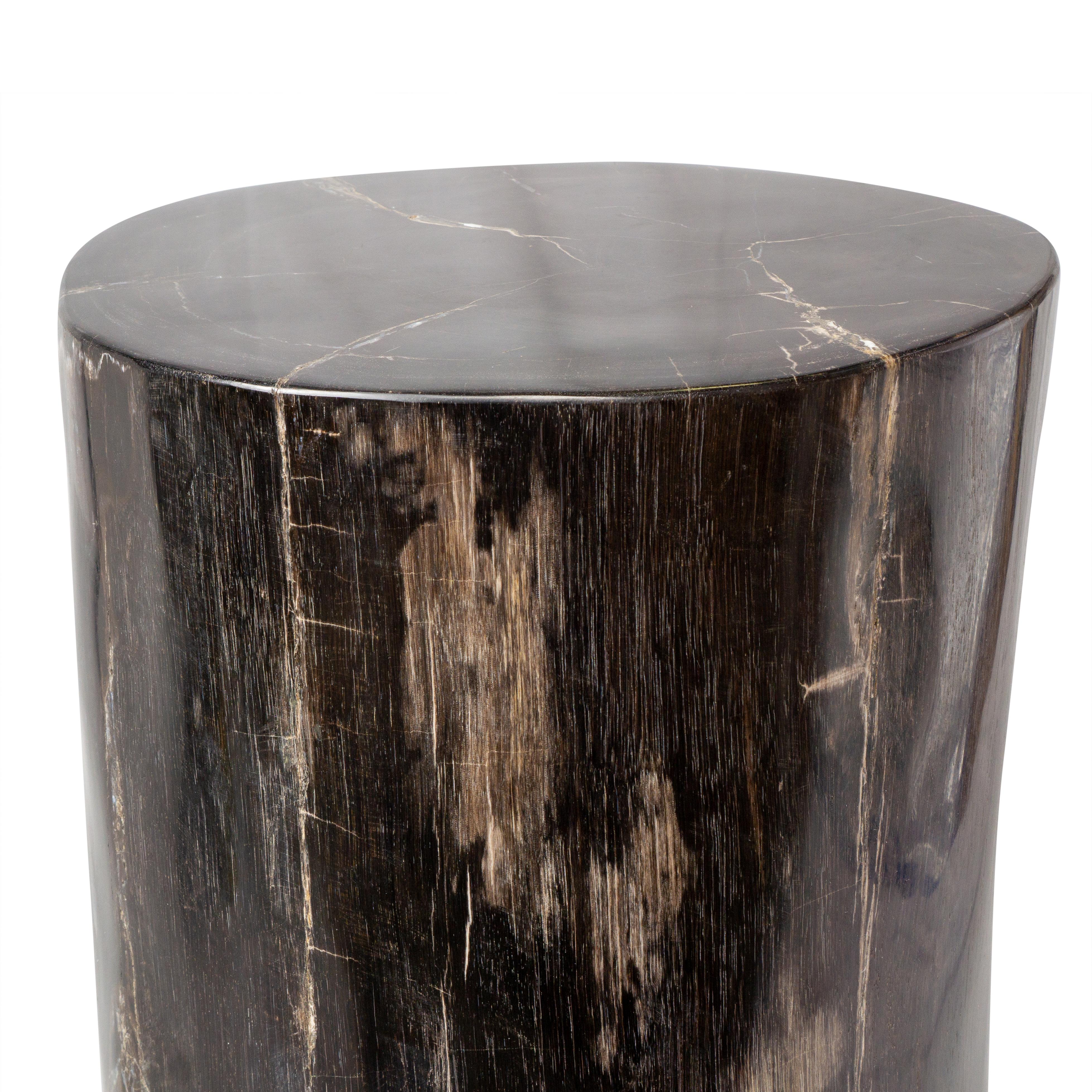 Organic Modern Side Table made of 20 Million Years Old Fossil Tree Petrified Wood Stone