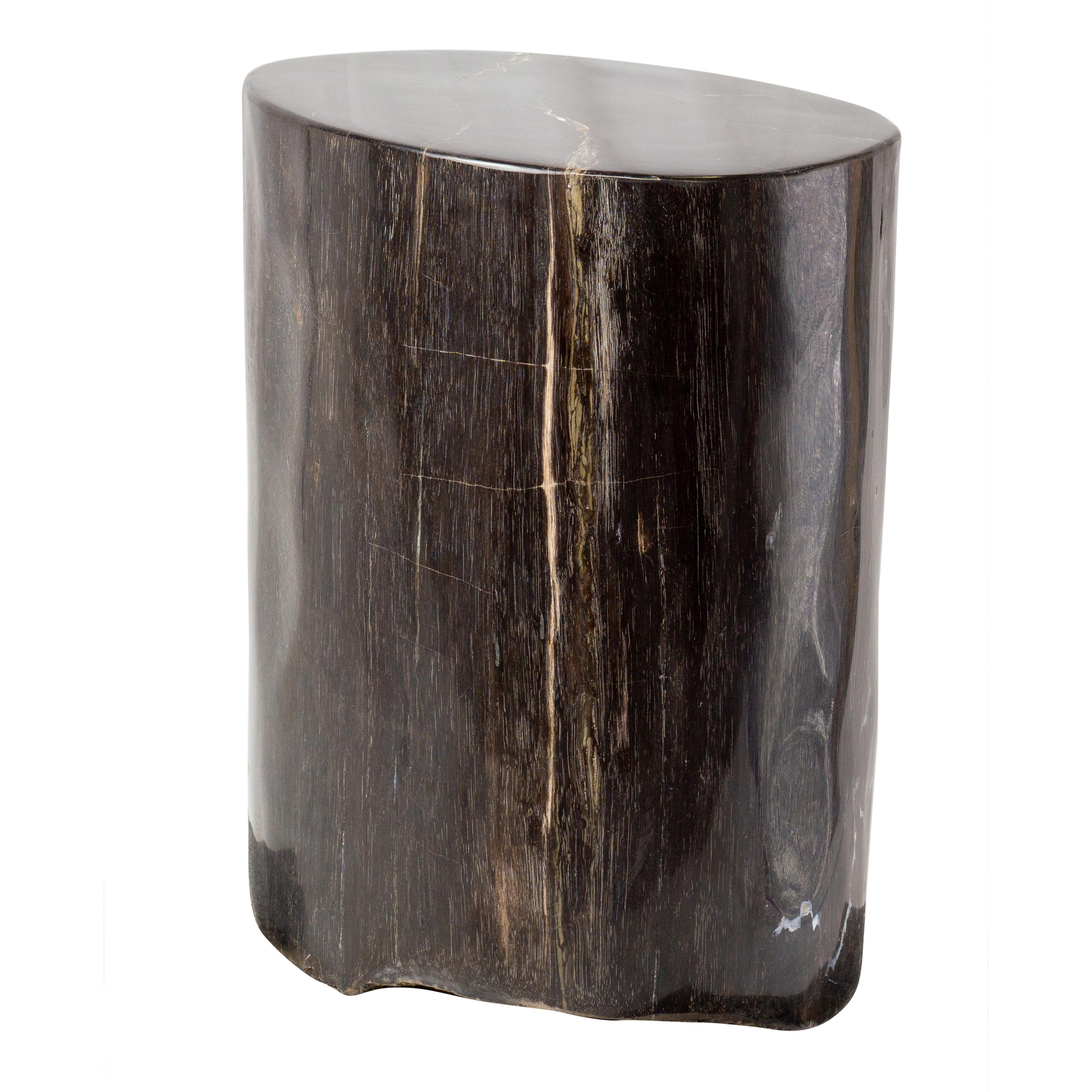 Indonesian Side Table made of 20 Million Years Old Fossil Tree Petrified Wood Stone