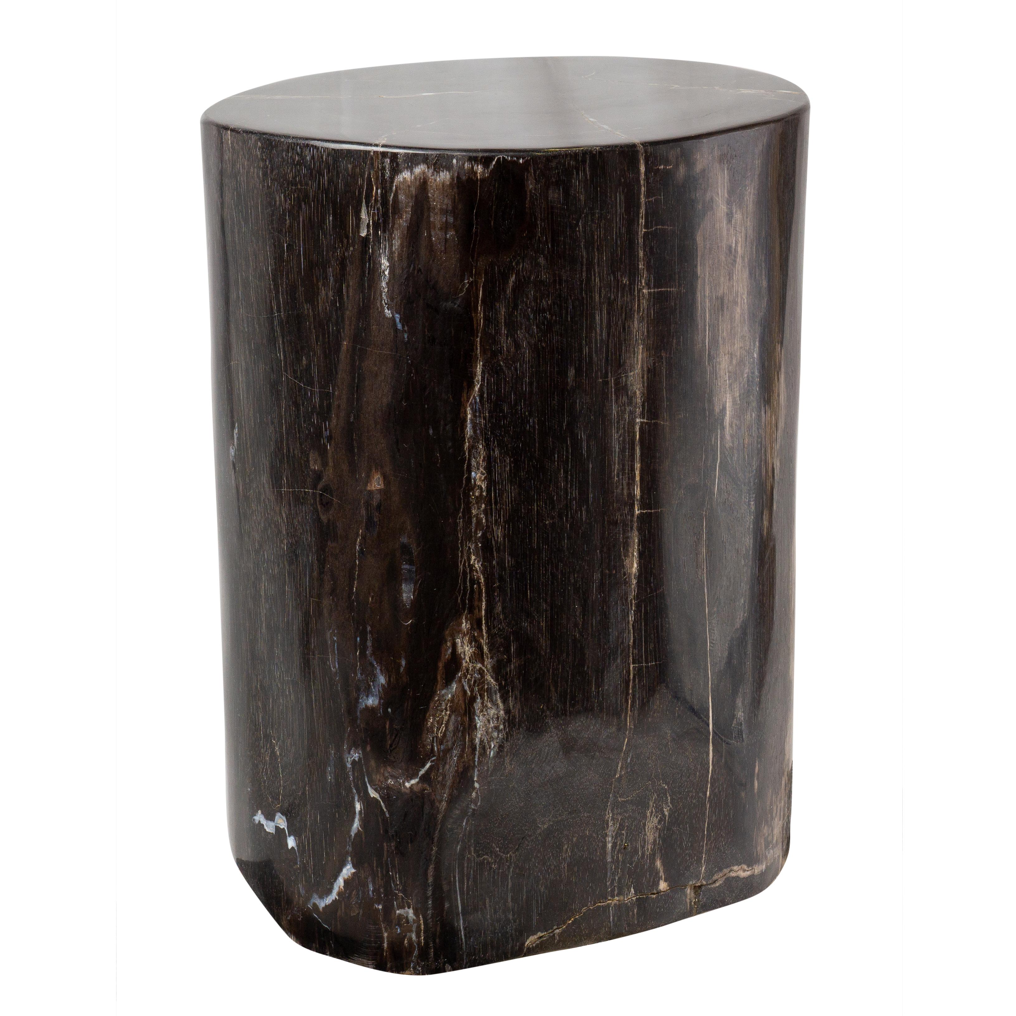 Polished Side Table made of 20 Million Years Old Fossil Tree Petrified Wood Stone