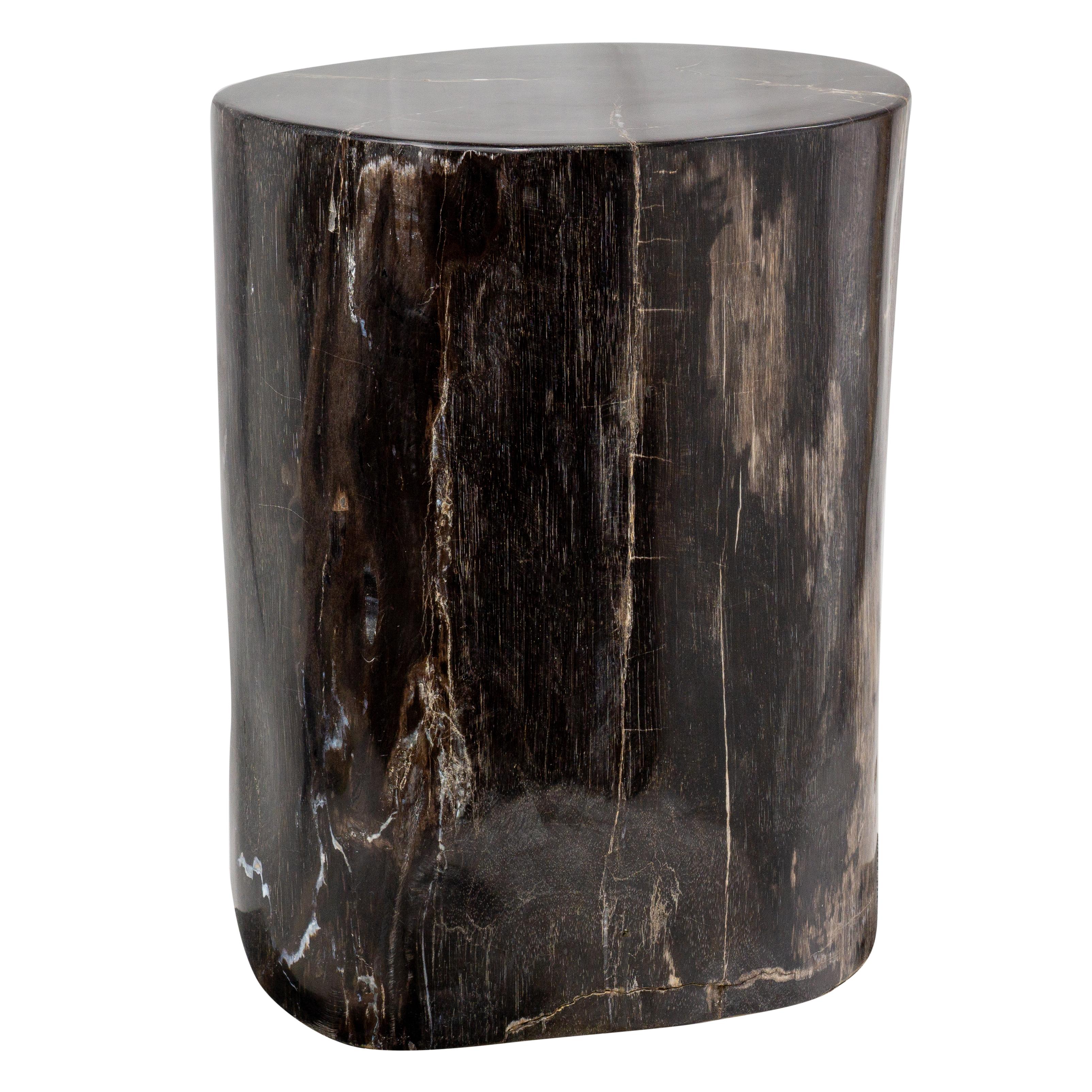 Side Table made of 20 Million Years Old Fossil Tree Petrified Wood Stone In Excellent Condition In Feasterville Trevose, PA