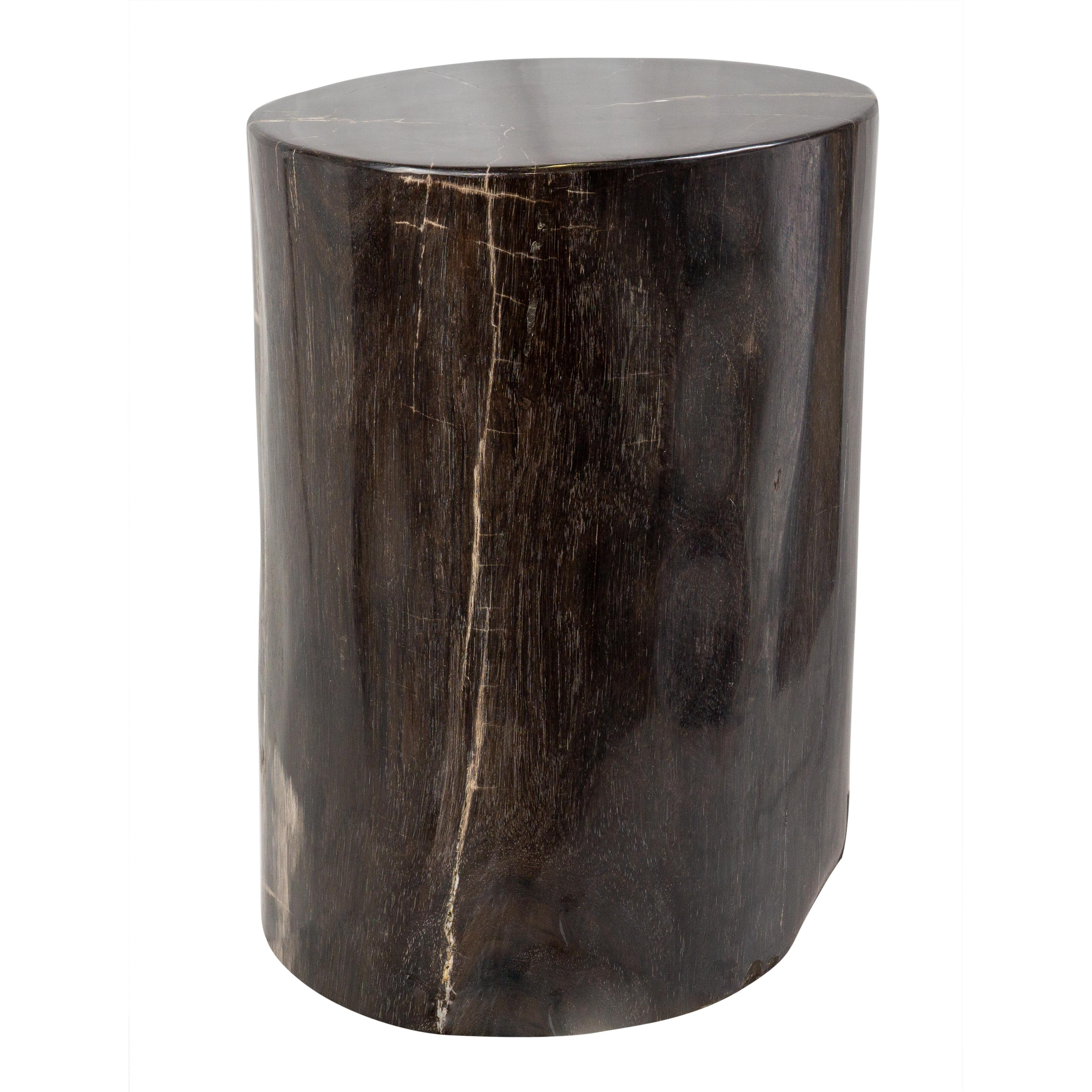 Contemporary Side Table made of 20 Million Years Old Fossil Tree Petrified Wood Stone