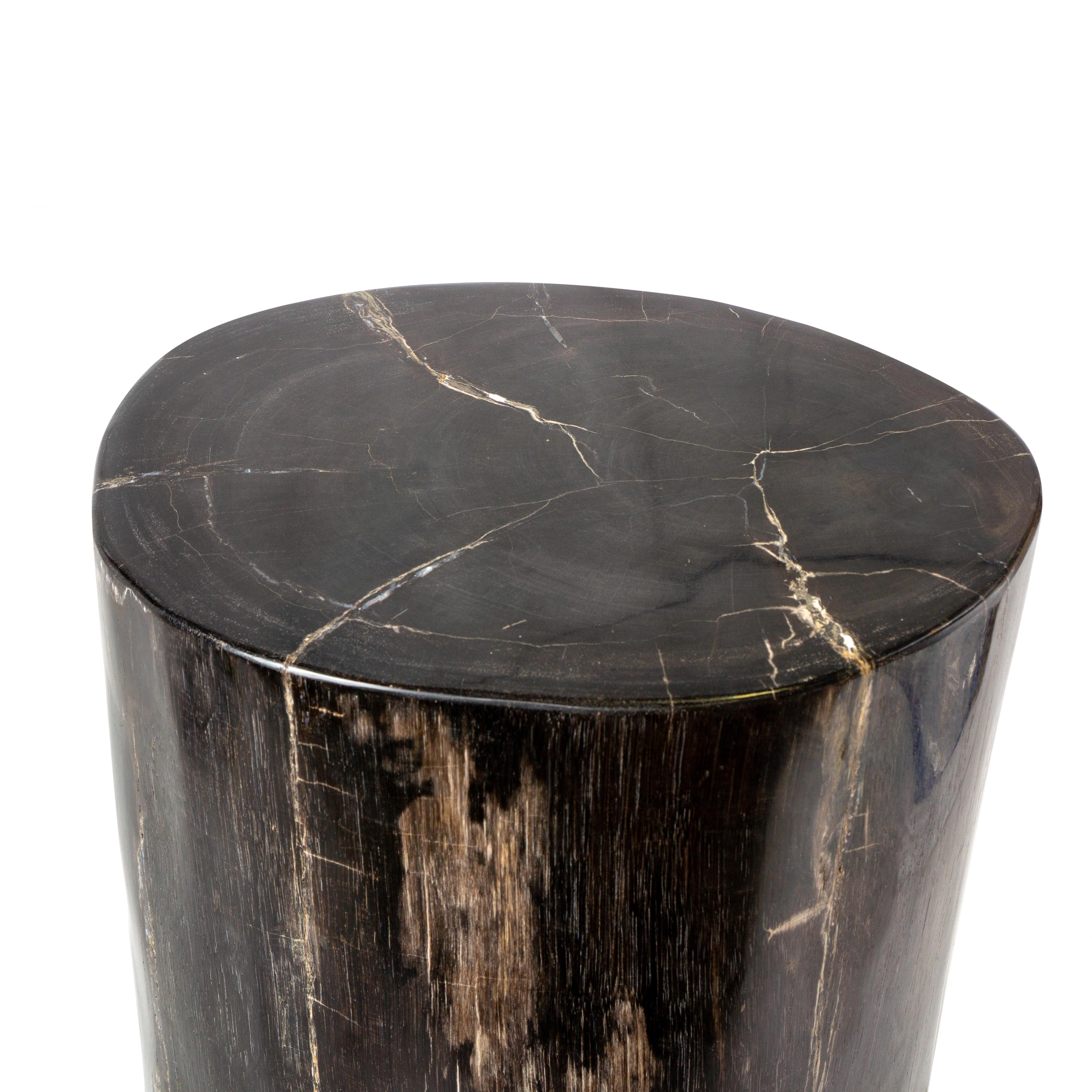 Side Table made of 20 Million Years Old Fossil Tree Petrified Wood Stone 1