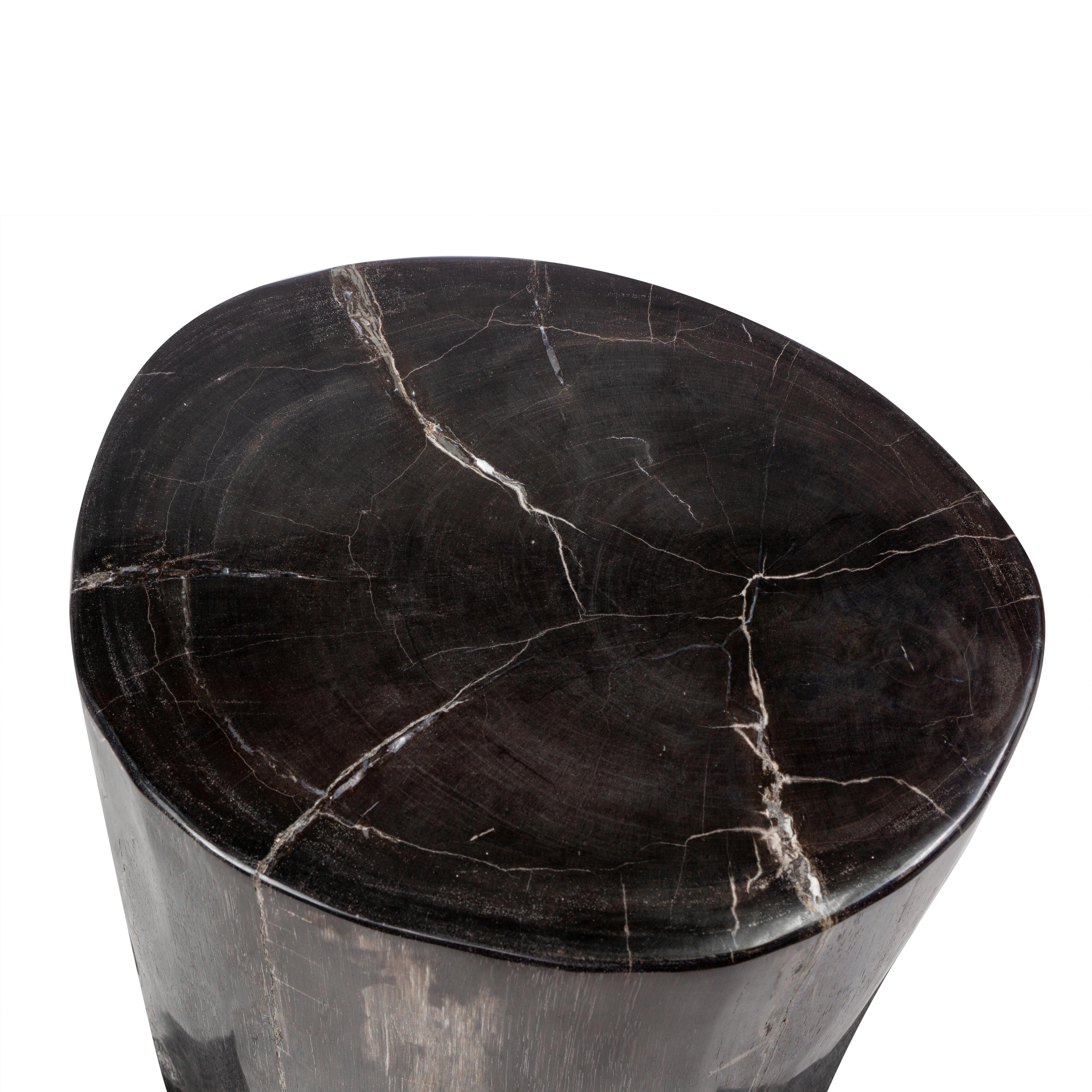 Side Table made of 20 Million Years Old Fossil Tree Petrified Wood Stone 2
