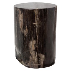 Side Table made of 20 Million Years Old Fossil Tree Petrified Wood Stone