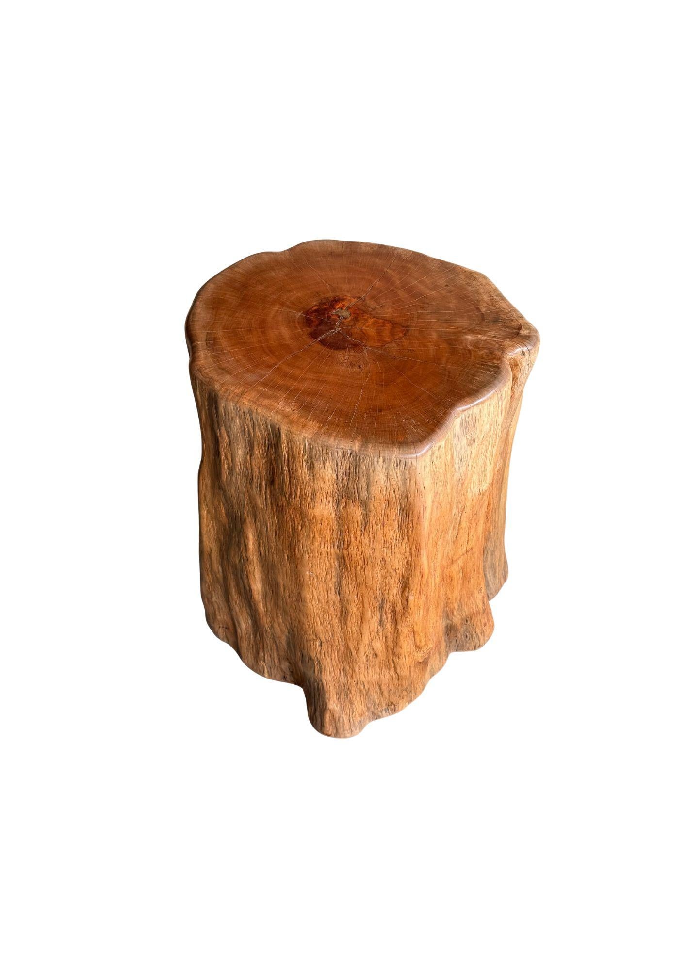 Organico moderno Tavolino in legno massiccio di litchi con finitura naturale, moderno e organico in vendita