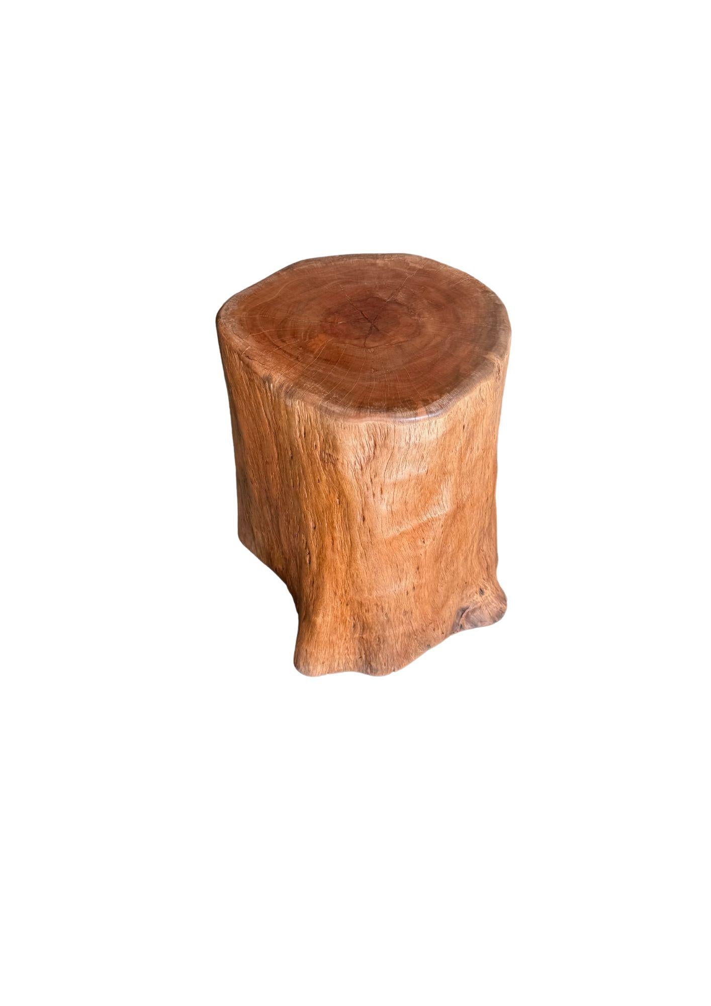 Indonésien Table d'appoint Bois de litchi massif Finition naturelle Moderne Organique en vente