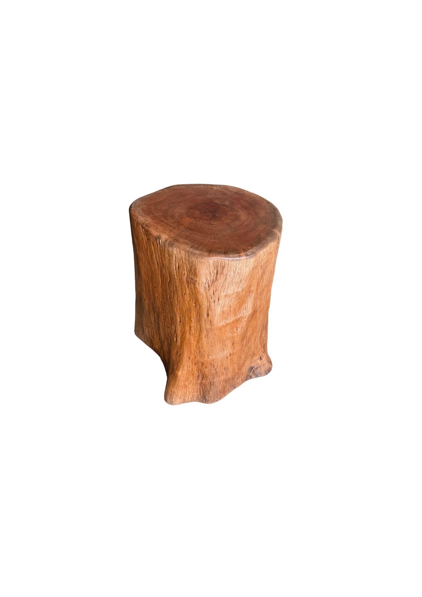Fruitiers Table d'appoint Bois de litchi massif Finition naturelle Moderne Organique en vente