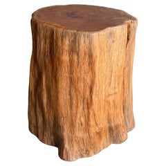 Pedestales modernos ecológicos