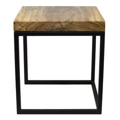 Side Table with Petrified Wood Top from Indonesia