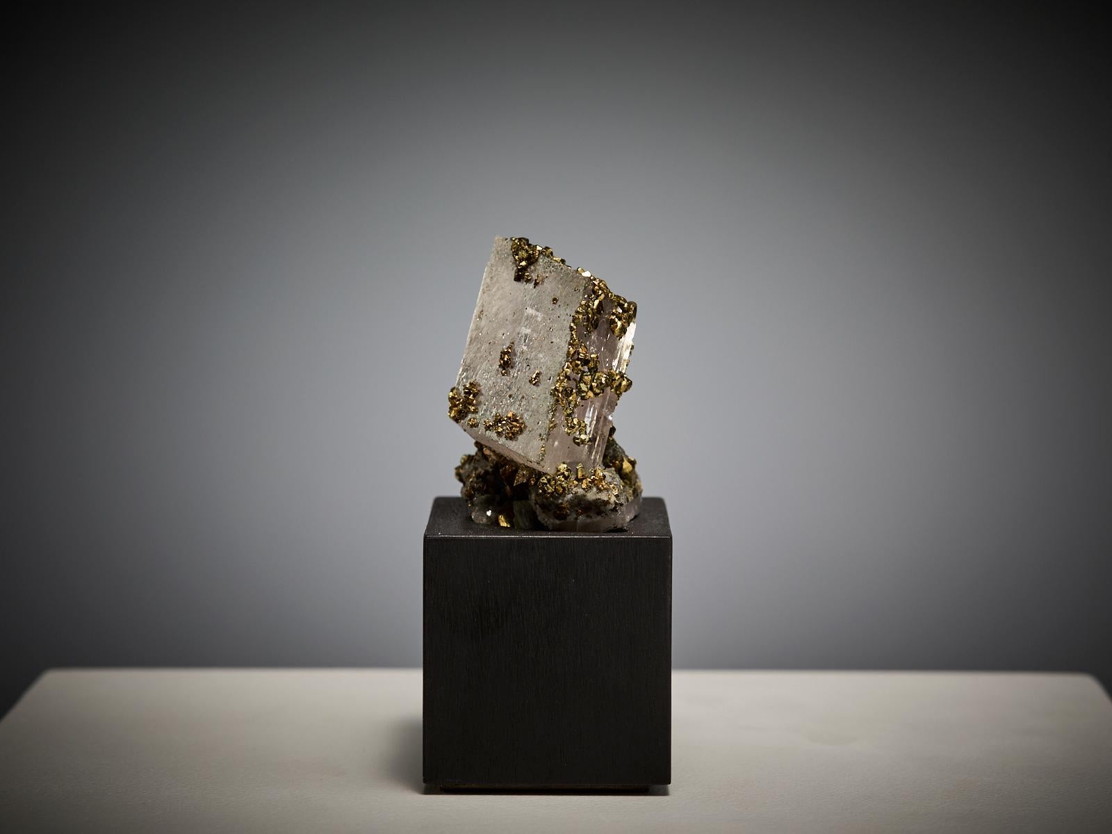 Siderite with Pyrite im Zustand „Hervorragend“ im Angebot in London, GB