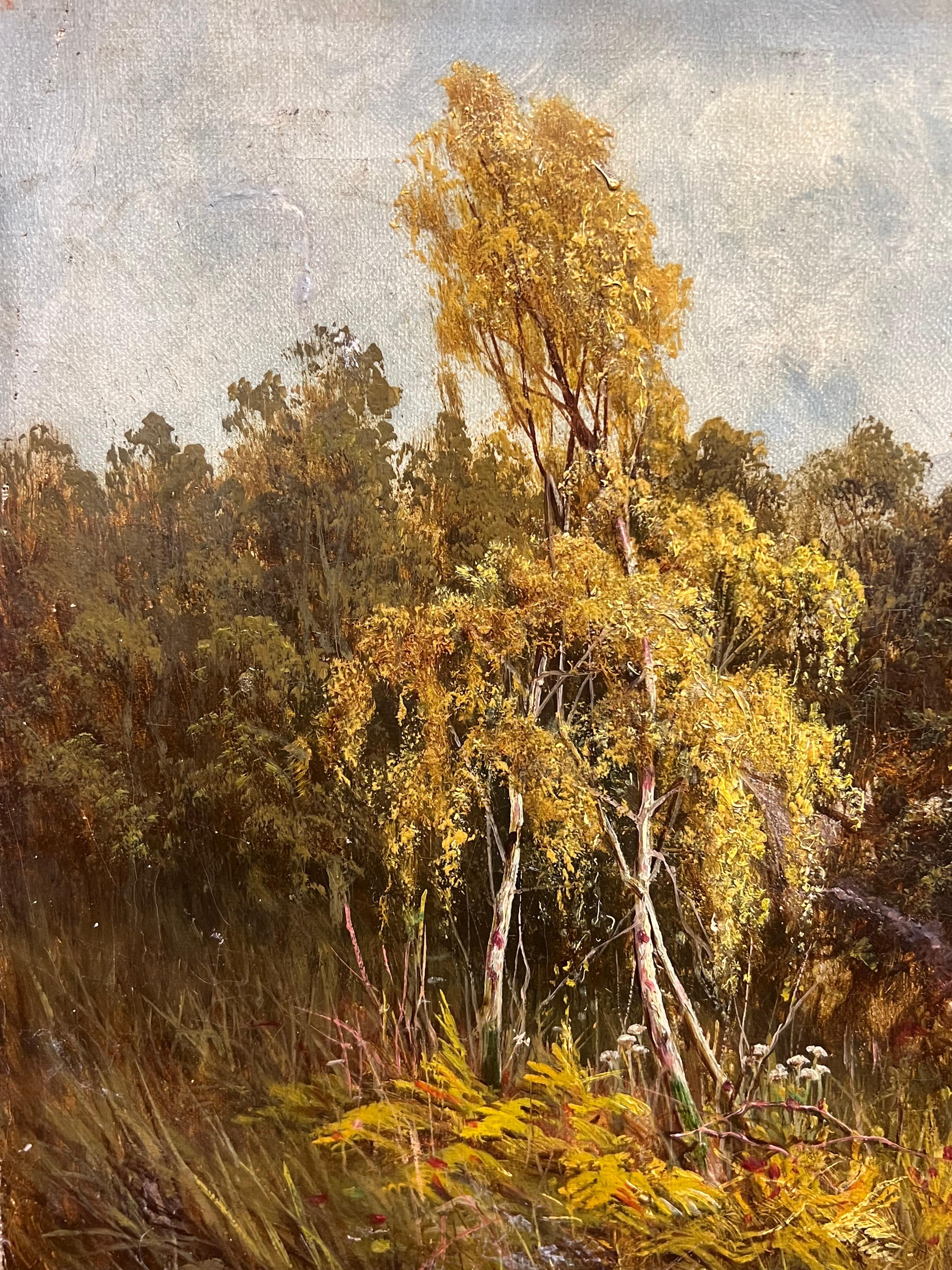 Il Loch delle Highlands
di Sidney Yates Johnson, datato 1899
olio su tela firmato, senza cornice
Tela: 12 x 24 pollici
Provenienza: collezione privata, Regno Unito
Condizioni: ottime condizioni

Descrizione:
Questo pacifico dipinto a olio cattura la