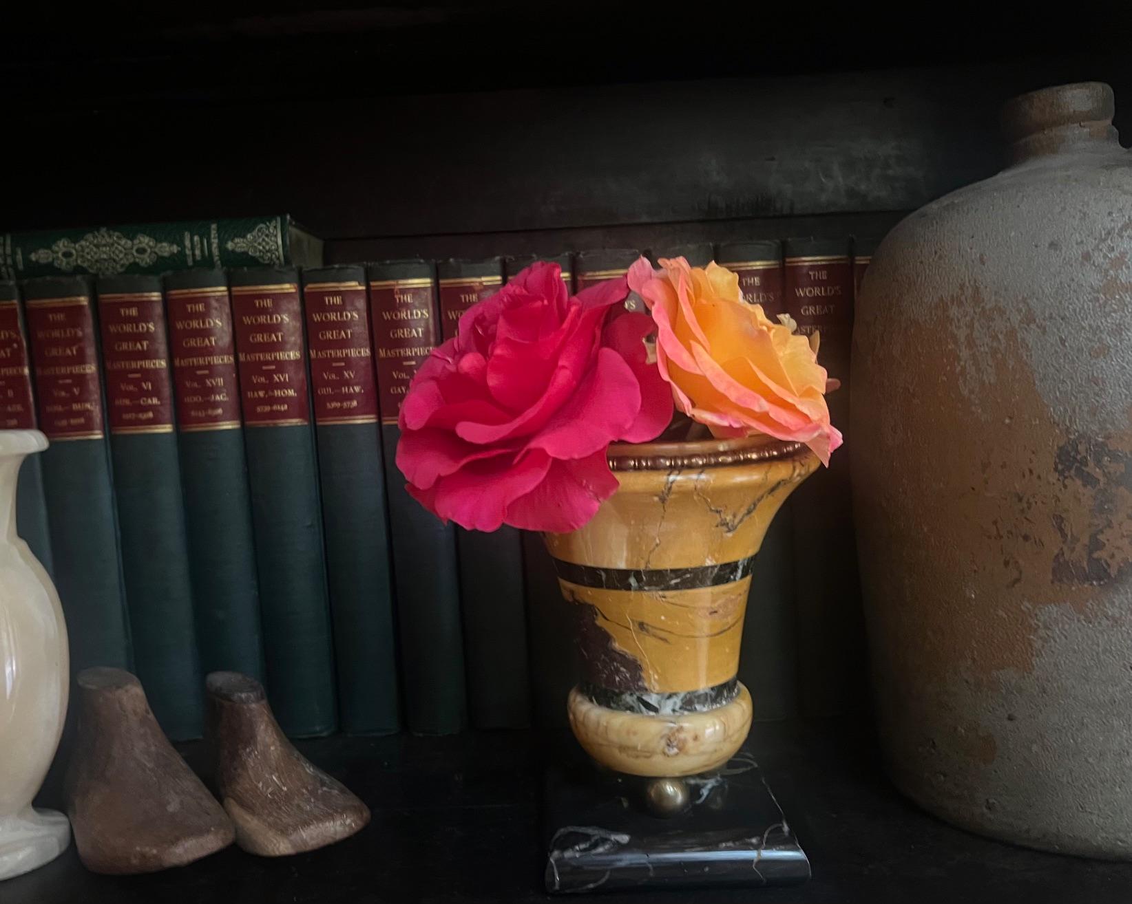 XIX secolo Urna / Vaso in marmo di Siena con base in marmo Nero Portoro e piedi a sfera in ottone, 1880 ca. in vendita