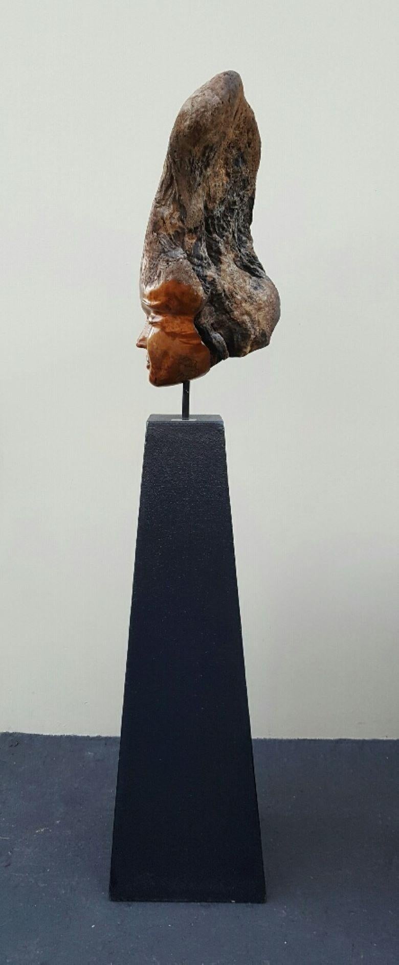 20th Century Sig De Tonancour Burled Myrtle Wood Sculpture Signed And Dated 1992 For Sale