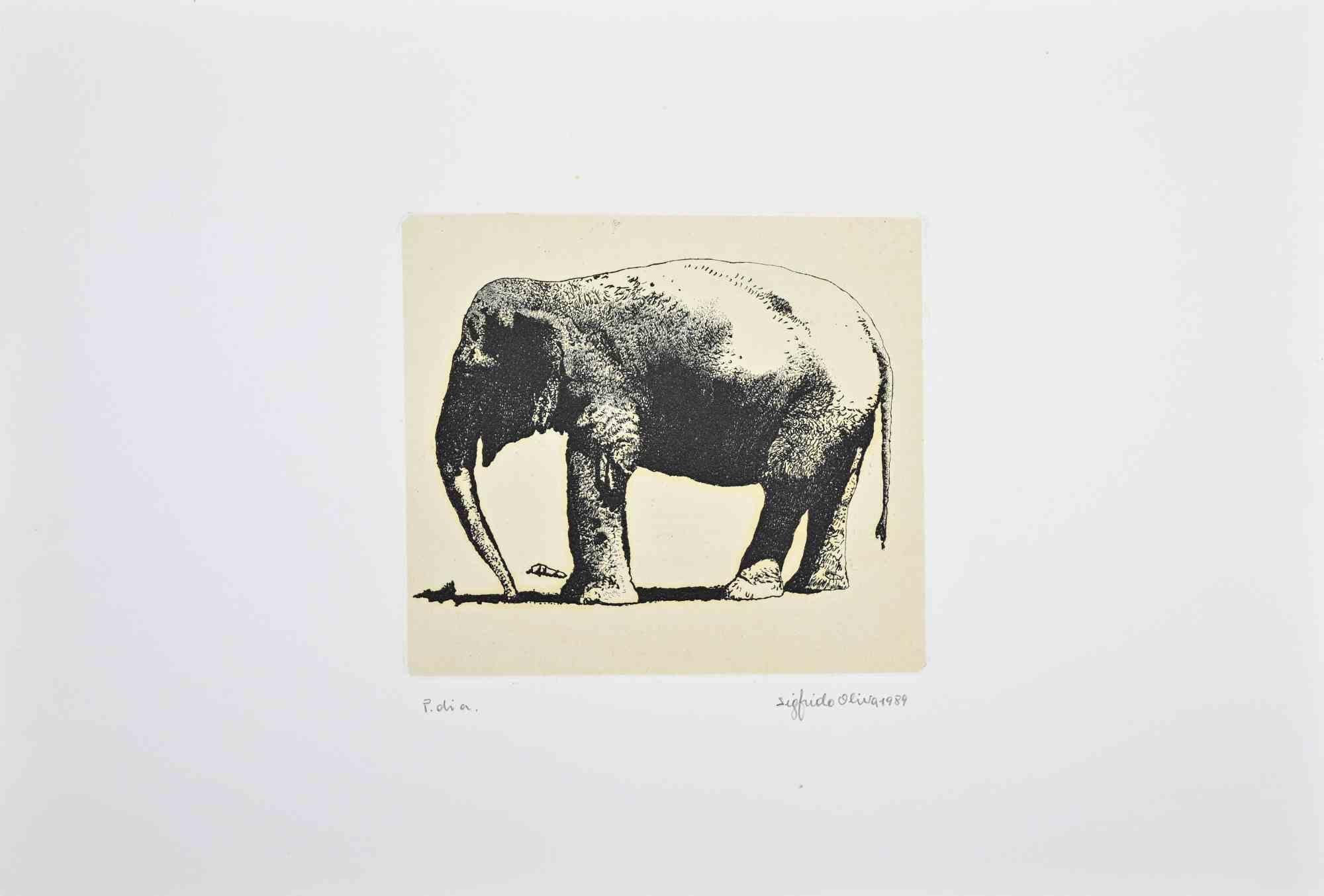 Elephant - Etching by Sigfrido Oliva - 1989