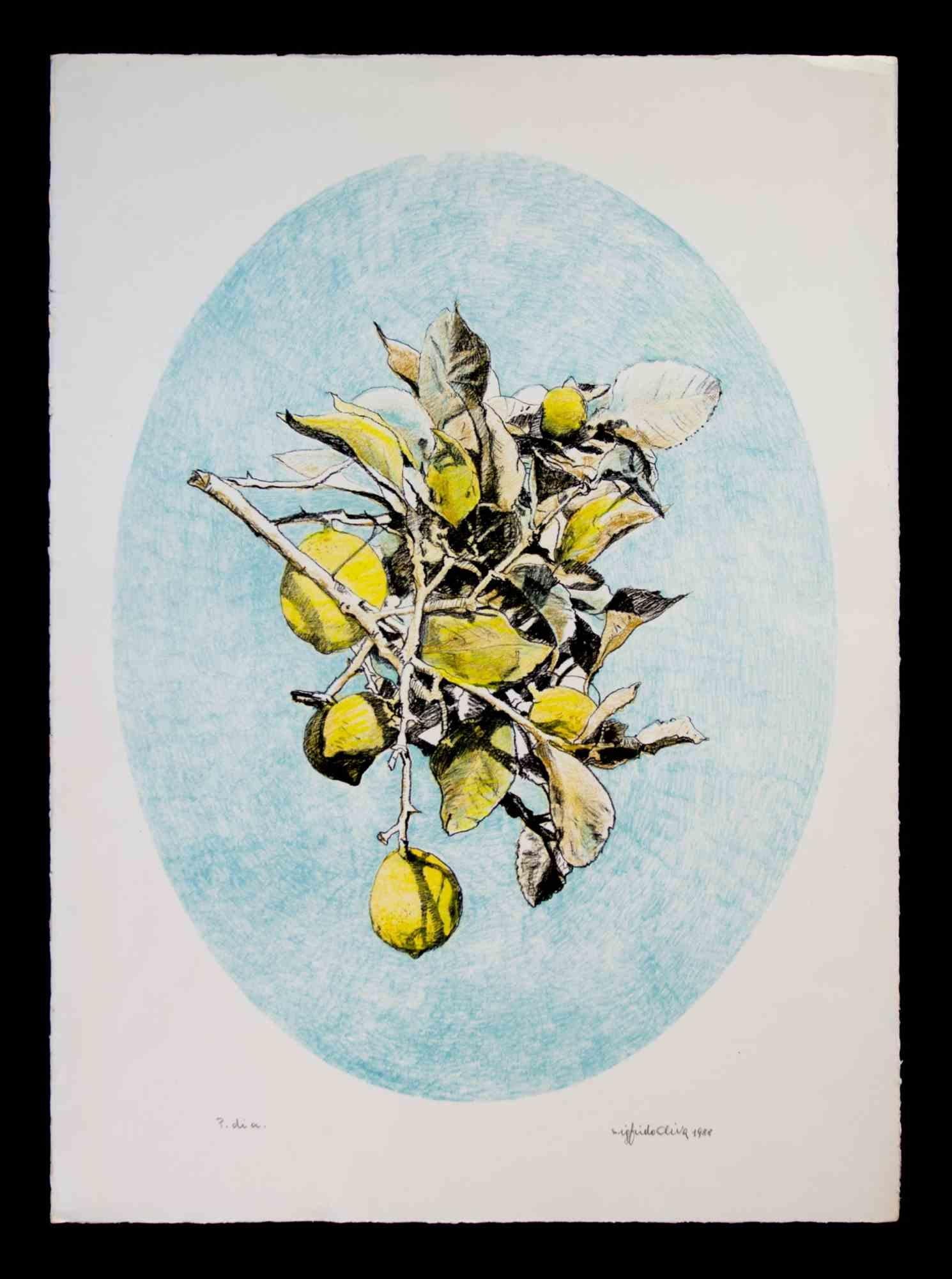 Lithograph on Magnani-Pescia paper. Paper size 50cm x 70cm, work size 43cm x 57cm. Excellent condition, no defects.
Hand colored.
Sigfrido Oliva was born in Messina in 1942 and grew up in Barcellona Pozzo di Gotto. A lover of drawing since he was a