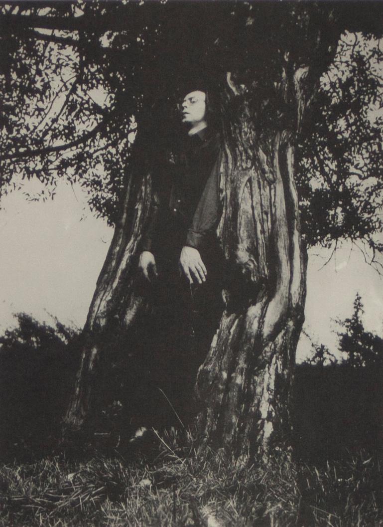 « The Tree that grew hollow because of me » (L'arbre qui a grandi en raison de moi), imprimé noir et blanc sans cadre - Après-guerre Print par Sigmar Polke