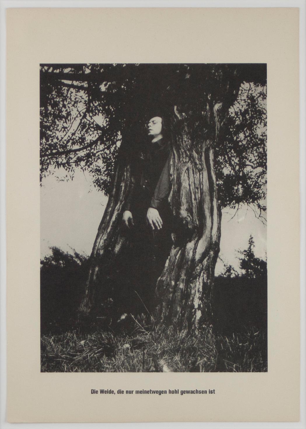 "The Tree that grew hollow because of me", unframed black and white print