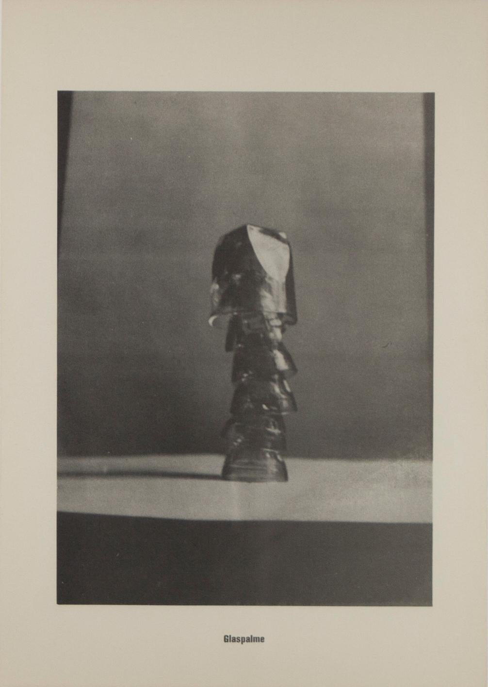 "Glaspalm", unframed black and white print, Berlin 1960s