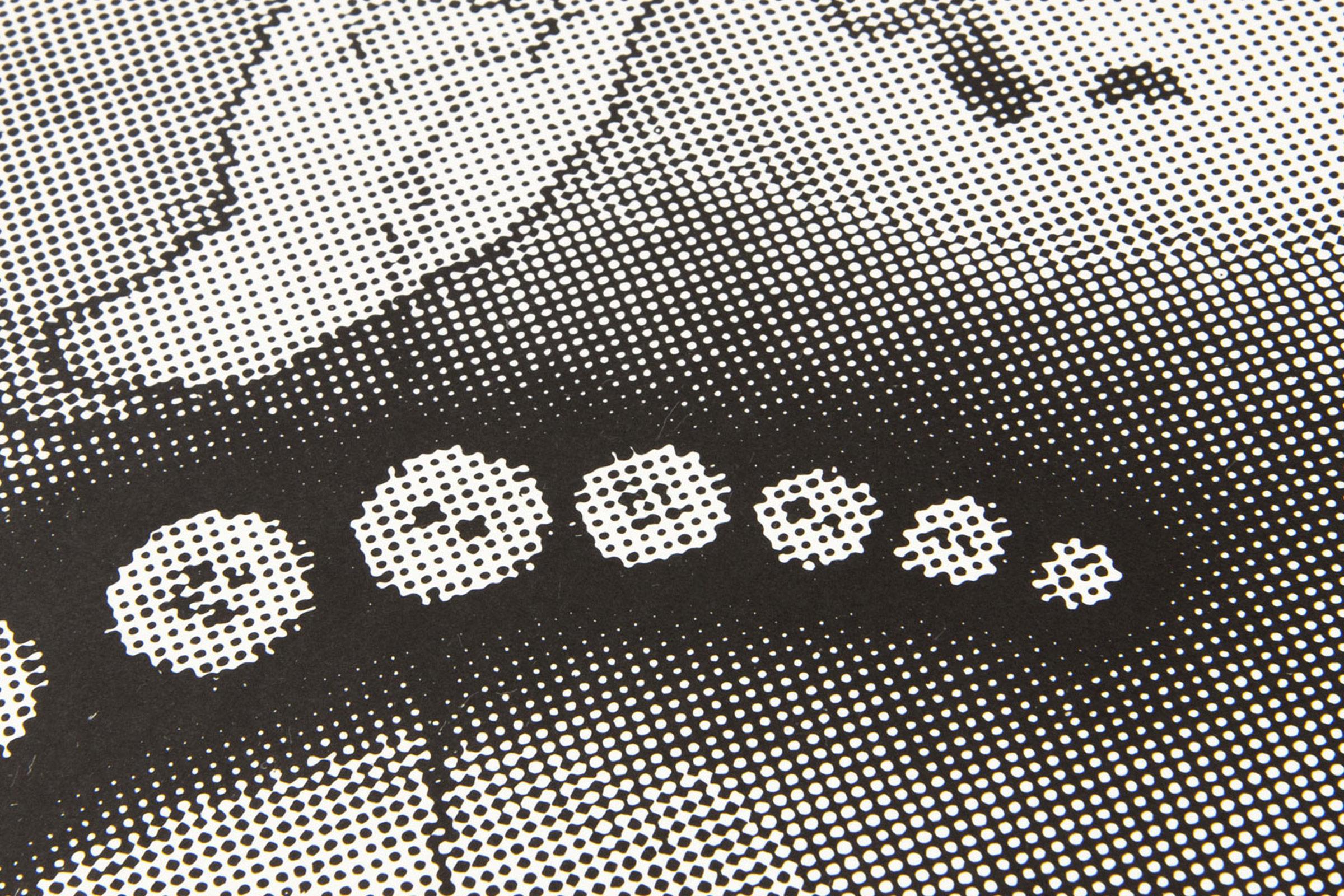 Sigmar Polke, Näherin - Edizione limitata, Pop Art tedesca, Stampa originale 3