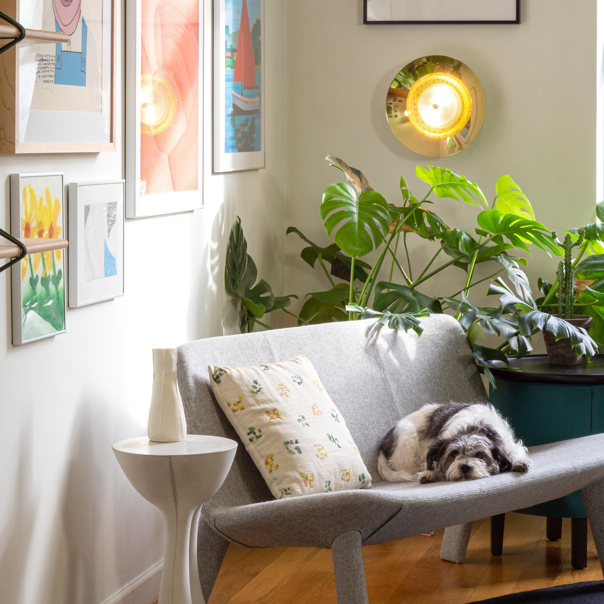 Aplique de pared Signal de Souda, níquel pulido, LED, hecho a medida en Nuevo estado para la venta en Brooklyn, NY