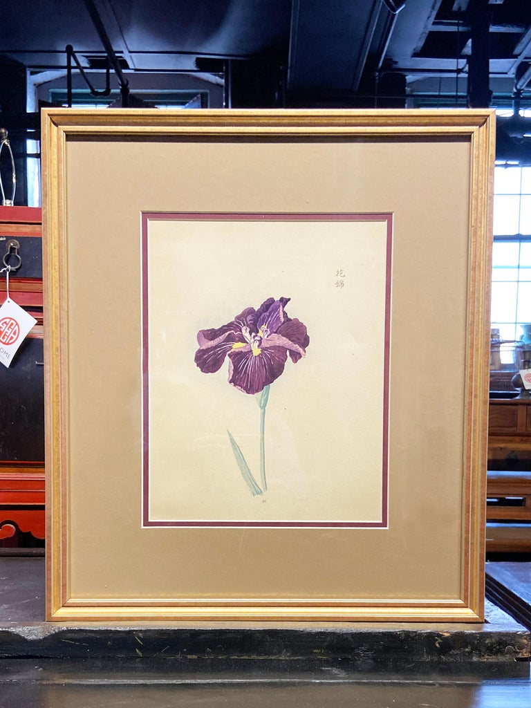 A Japanese woodblock print from the 19th century depicting a Japanese Iris, signed upper right. Created in Japan during the 19th century, this woodblock print attracts our attention with its delicate and minimalist depiction of a summer flower, the