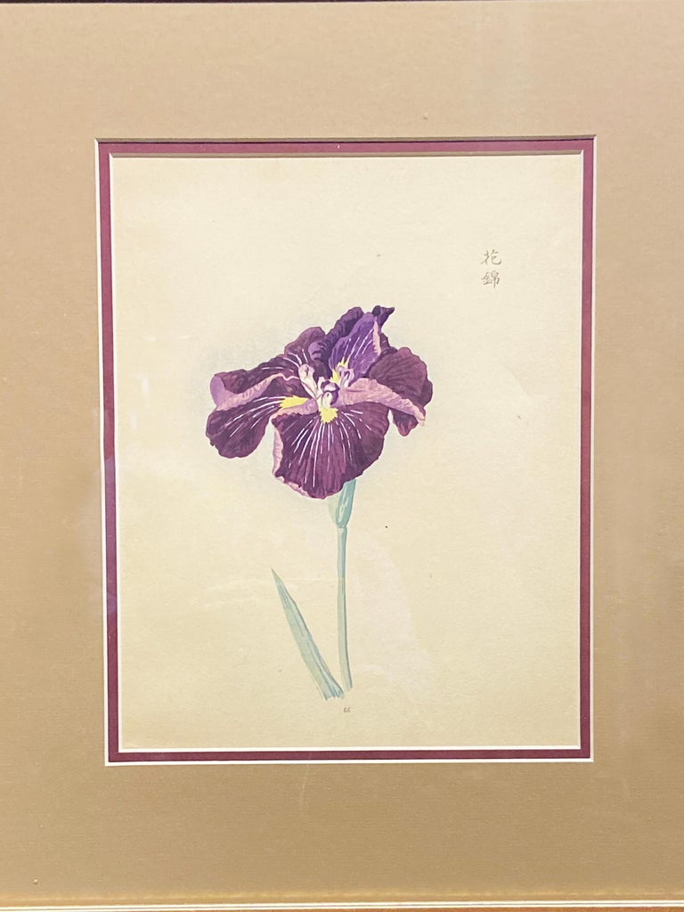 Glass Signed 19th Century Woodblock Print Depicting a Japanese Iris in Gilt Frame For Sale