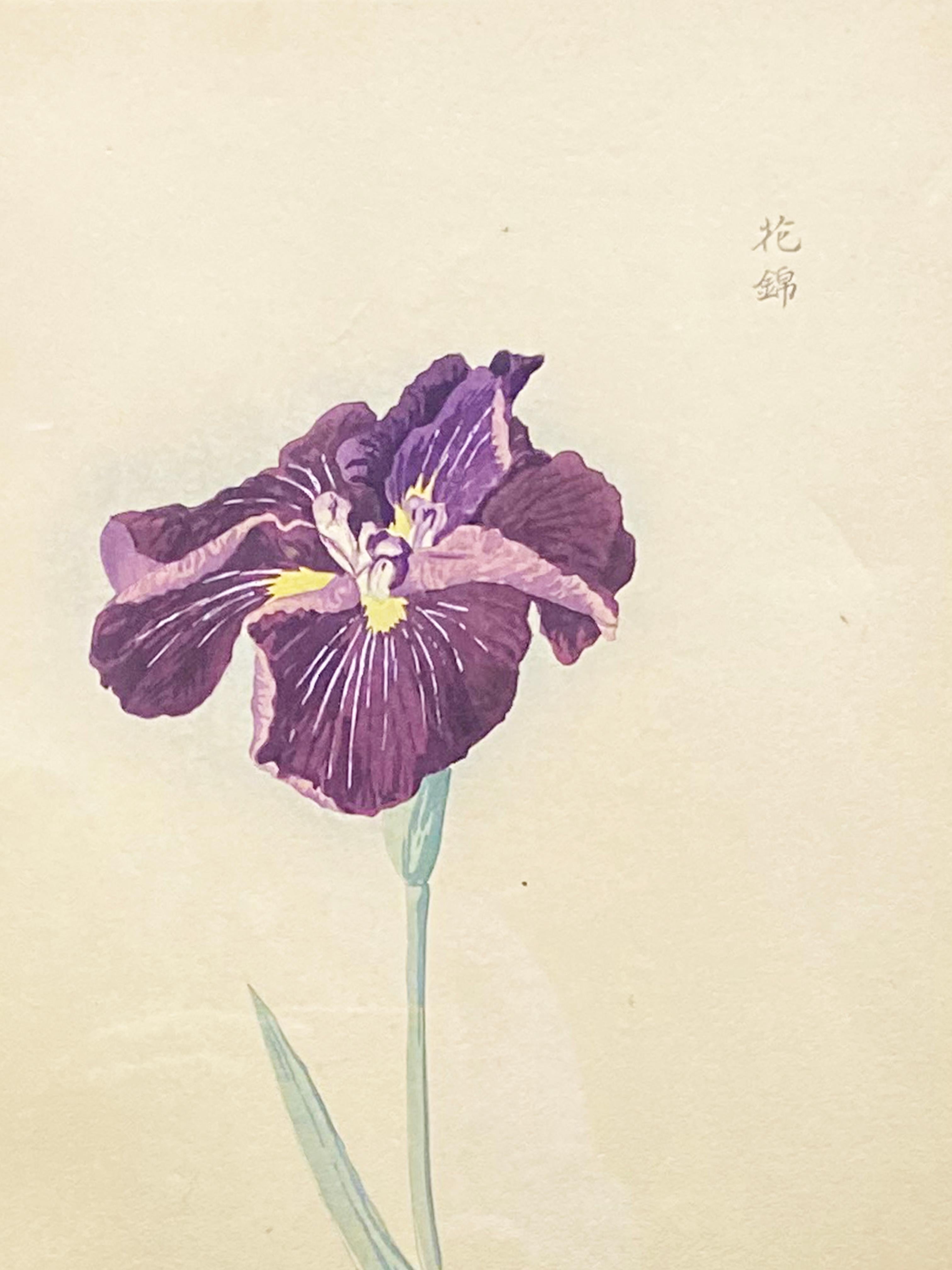 Glass Signed 19th Century Woodblock Print Depicting a Japanese Iris in Gilt Frame