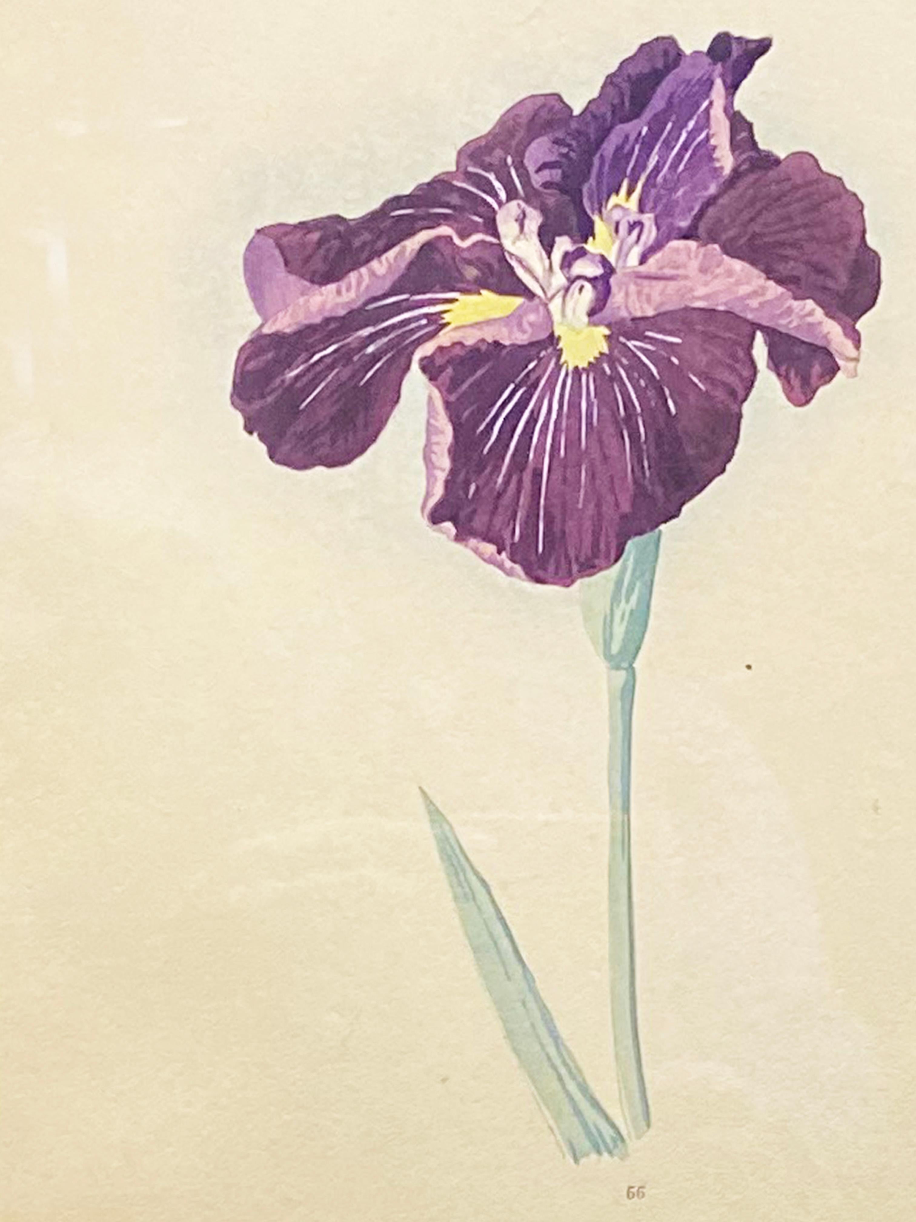 Signed 19th Century Woodblock Print Depicting a Japanese Iris in Gilt Frame 1