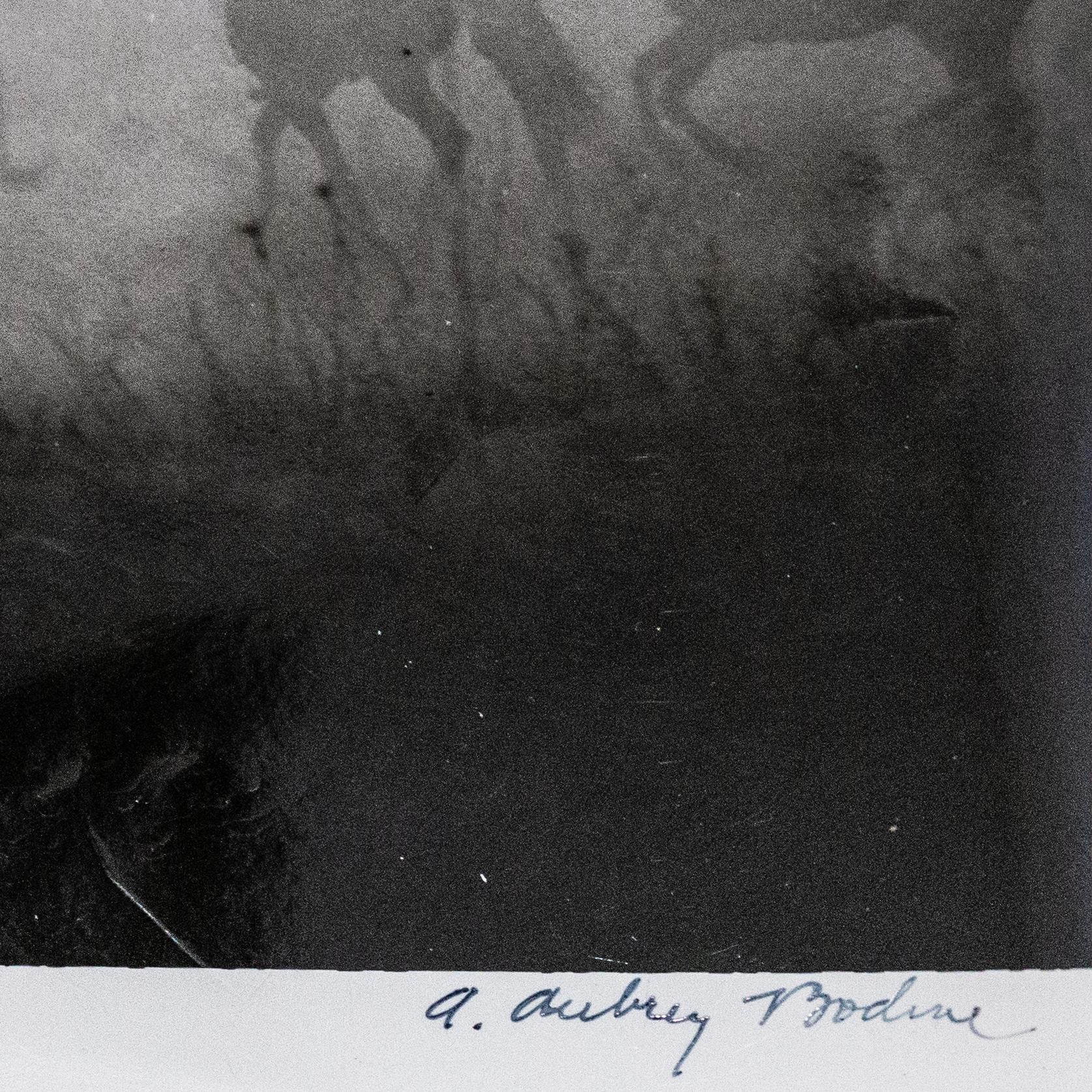 A. Aubrey Bodine (American, 1906-1970). 'Early Morning Charge', 1943. Gelatin silver print, signed lower right in pen and stamped to verso with Image ID # in pencil.

Regarded as one of the finest pictorialists of the 20th century, his pictures were