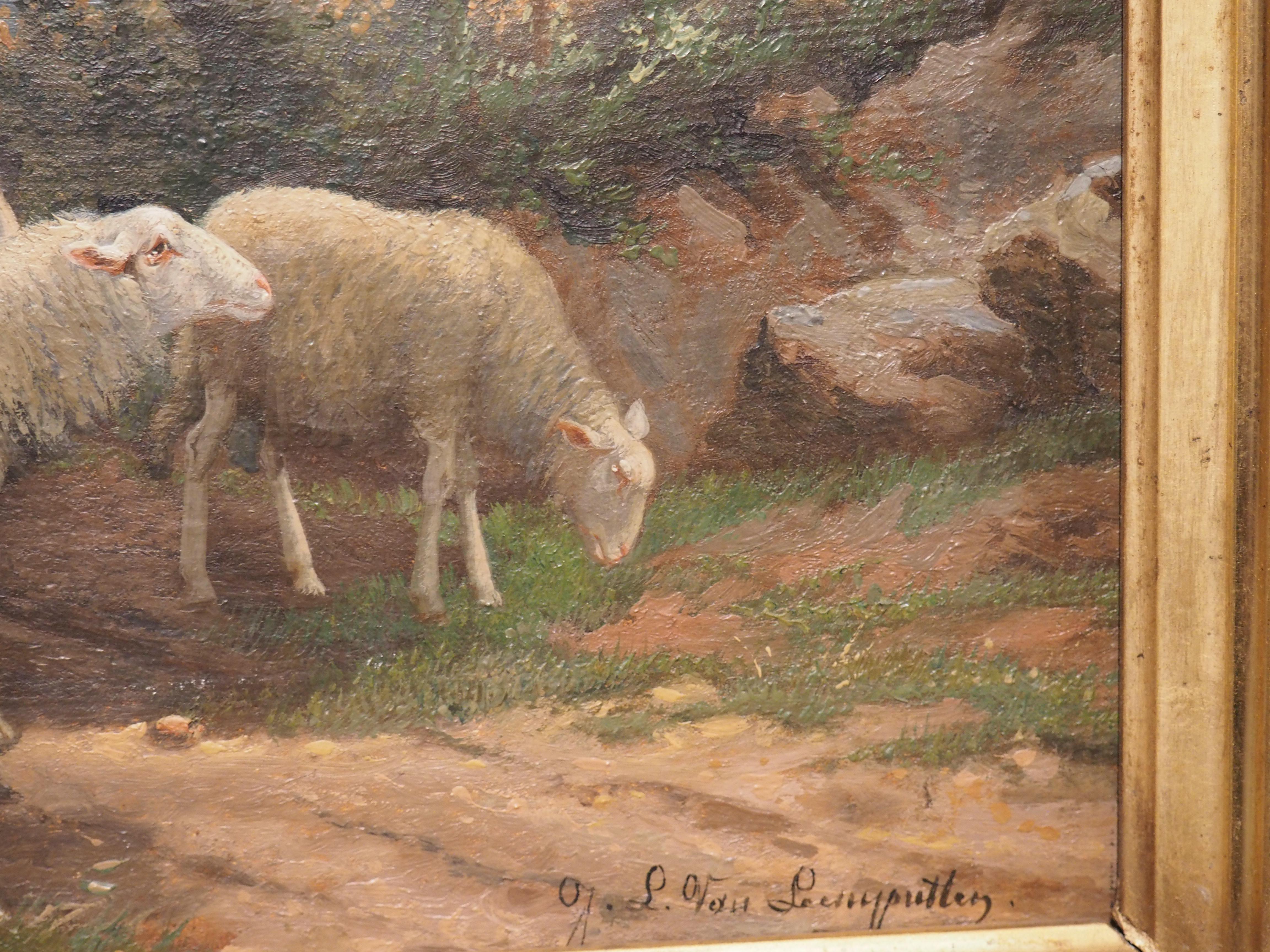 Peinture de moutons champêtres ancienne signée dans un cadre en bois doré, Belgique, 19ème siècle en vente 5