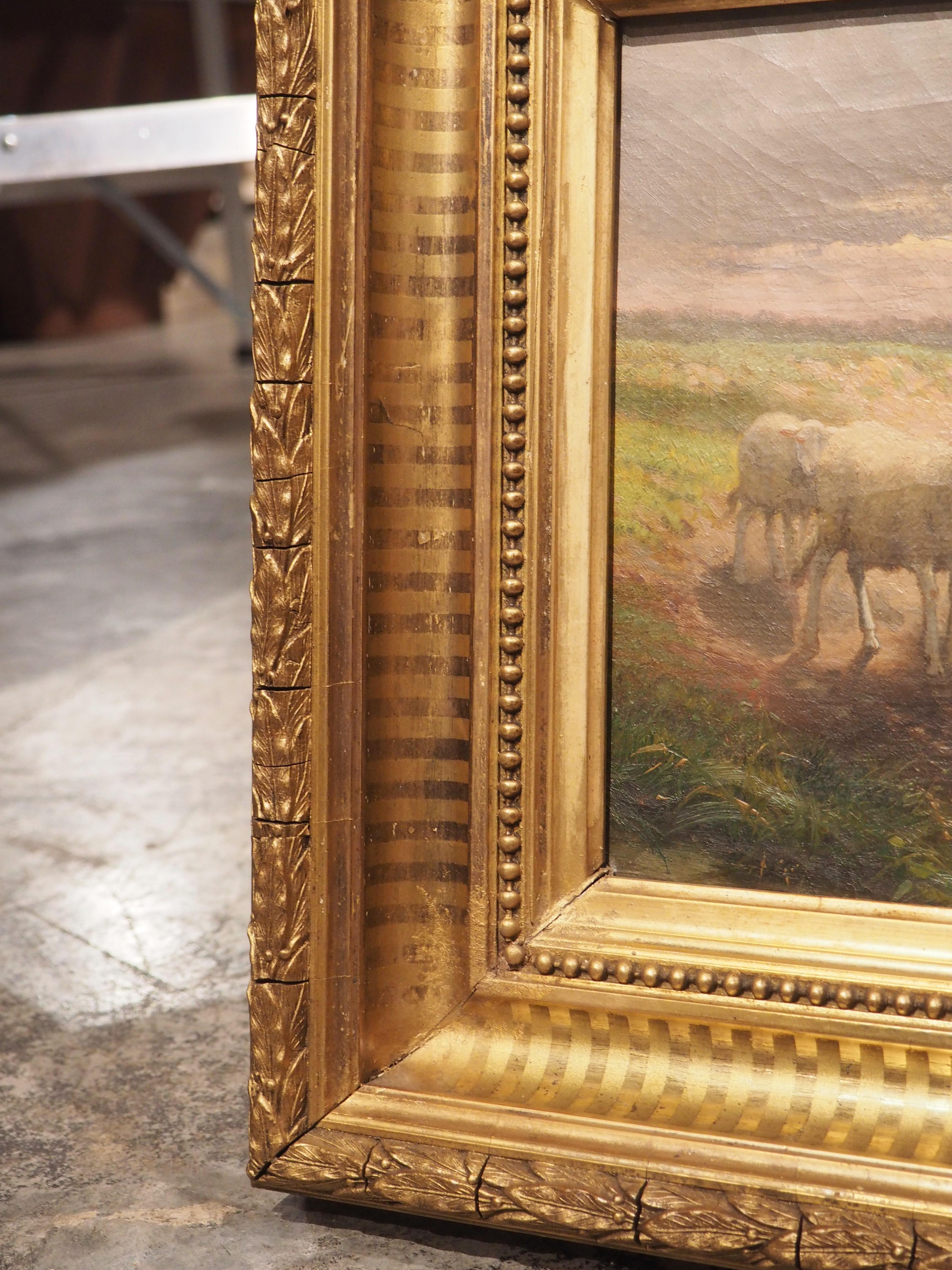 Belge Peinture de moutons champêtres ancienne signée dans un cadre en bois doré, Belgique, 19ème siècle en vente