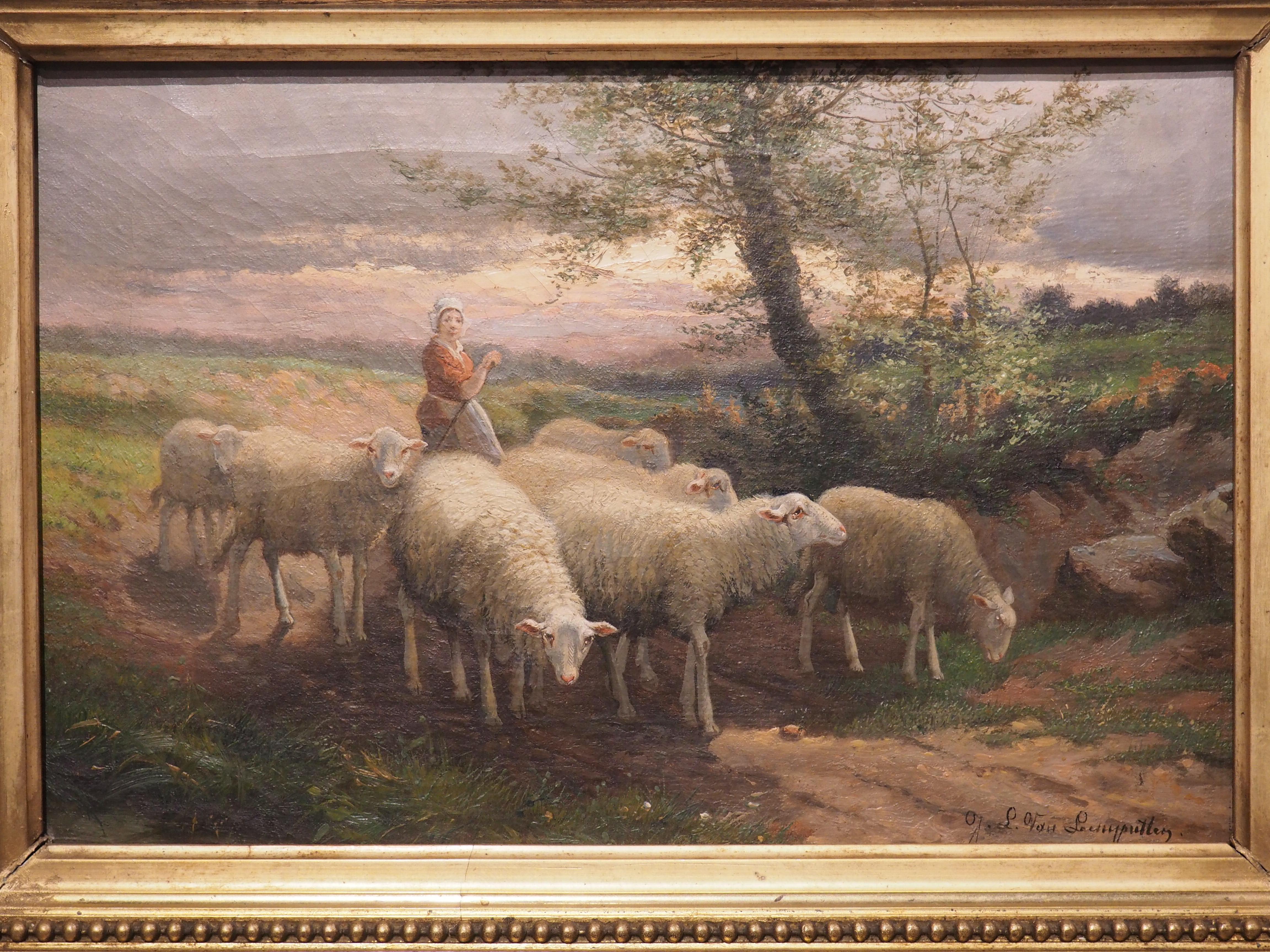 Signed Antique Pastoral Sheep Painting in Giltwood Frame, Belgium, 19th Century For Sale 2