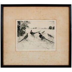 Antique Signed Artist Proof Etching "Pheasants" by Hans Kleiber, Early 20th Century