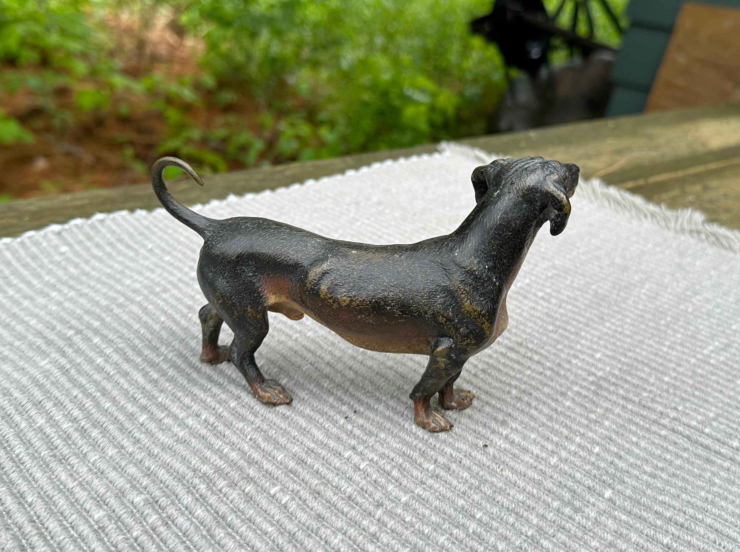 wiener bronze dackel