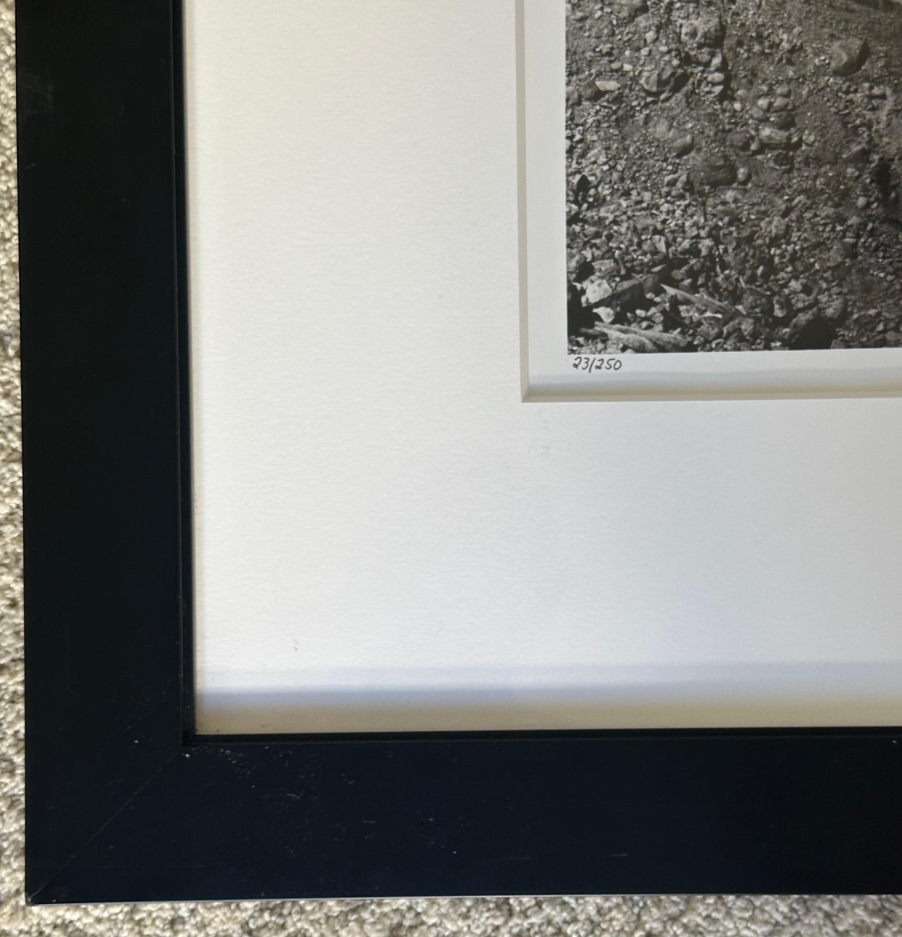 Signed Black & White Photograph 