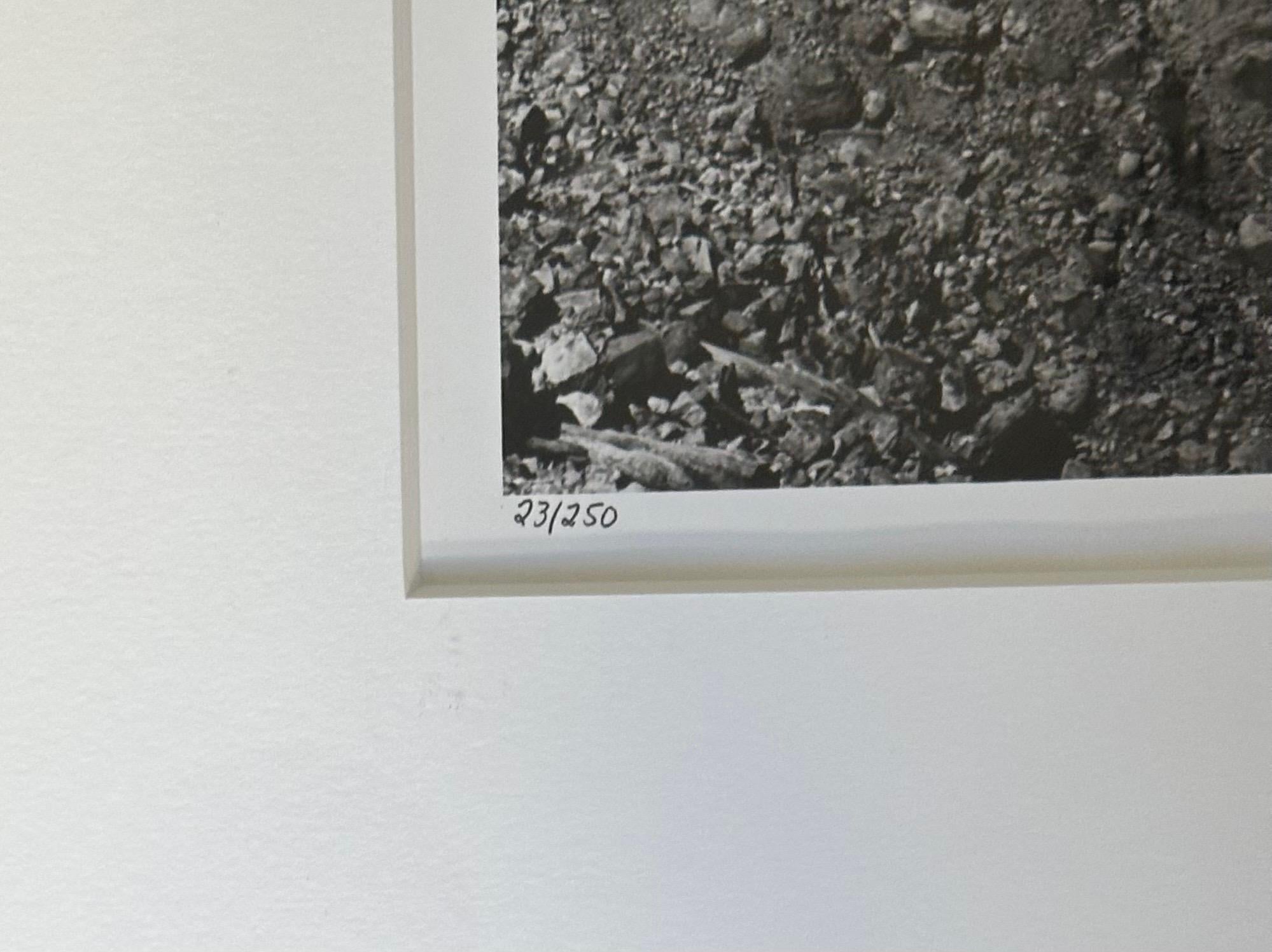 Signed Black & White Photograph 