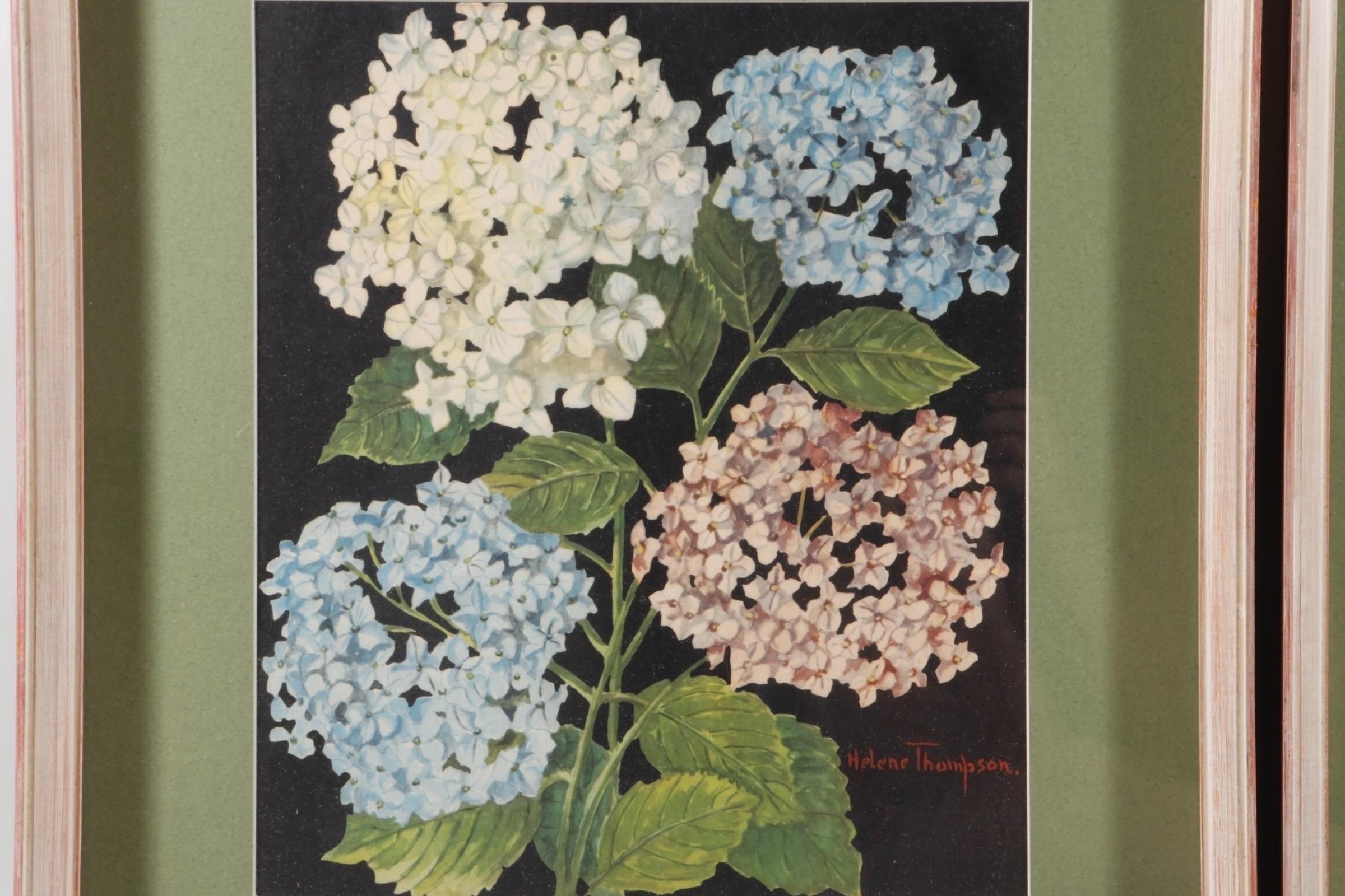 Signed Botanical Lithographs, a Pair (20. Jahrhundert) im Angebot
