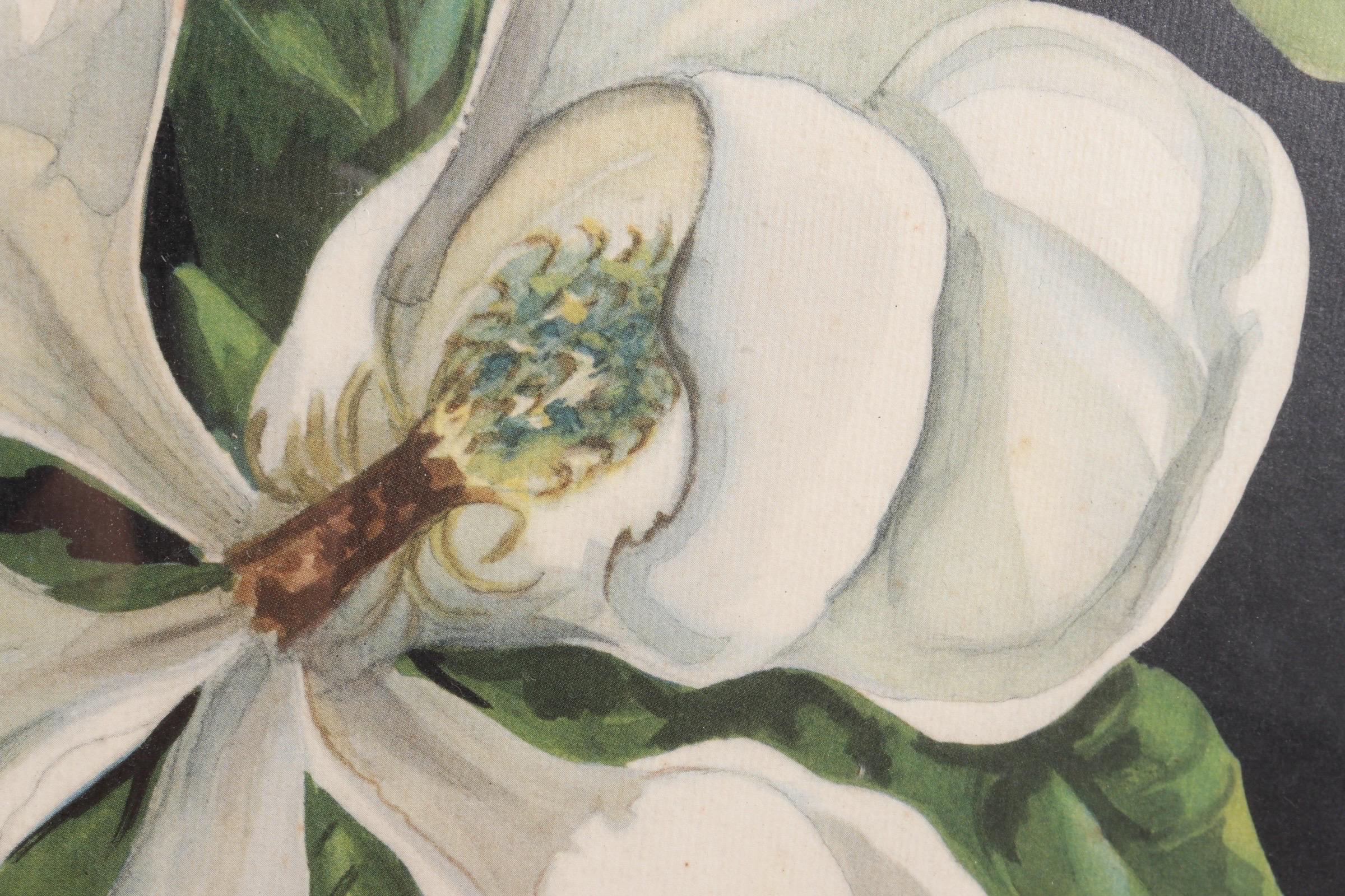 Signed Botanical Lithographs, a Pair im Angebot 1