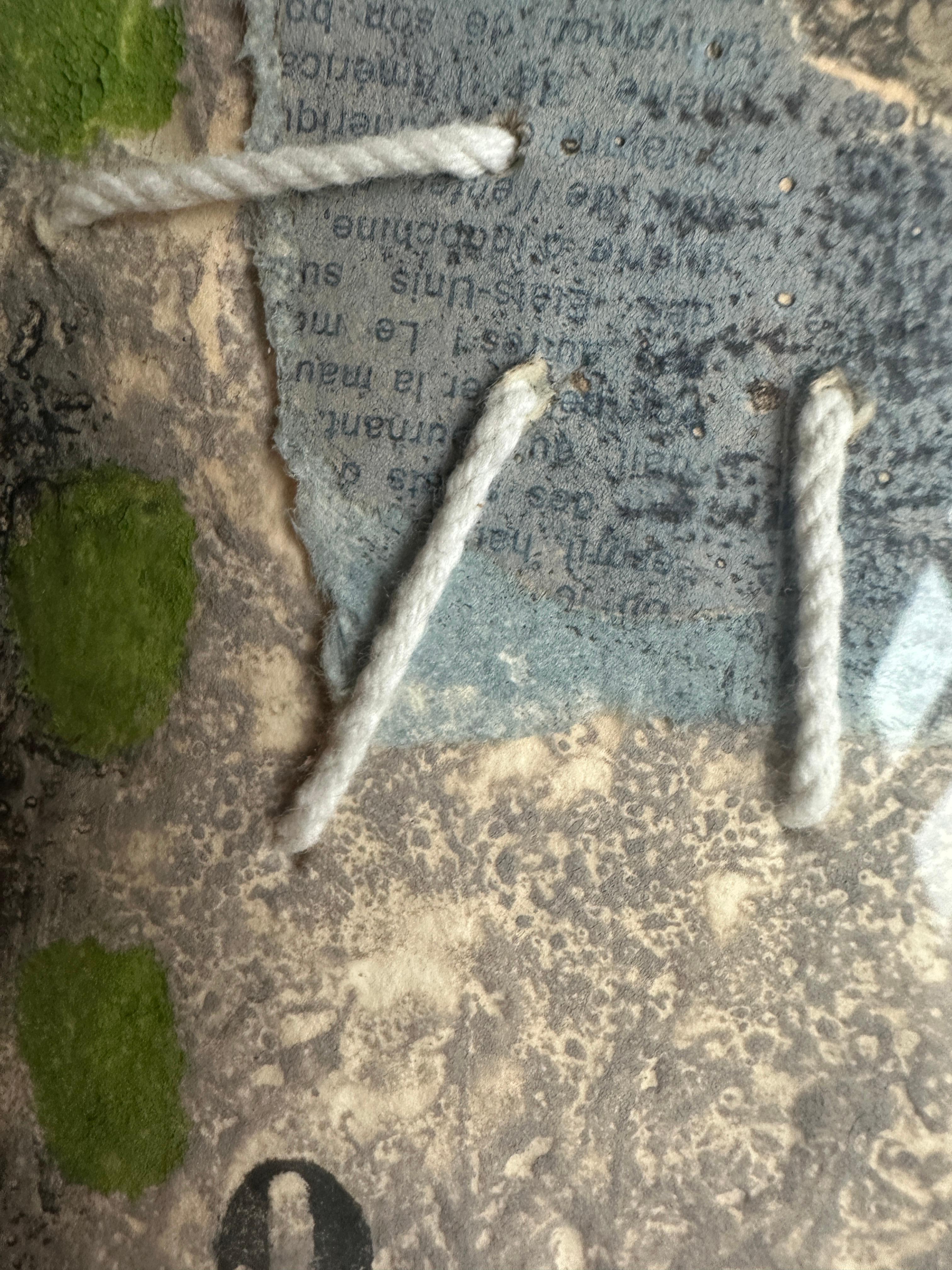 Aquatinte couleur, eau-forte, carborundum et collage signé James Coignard en vente 7